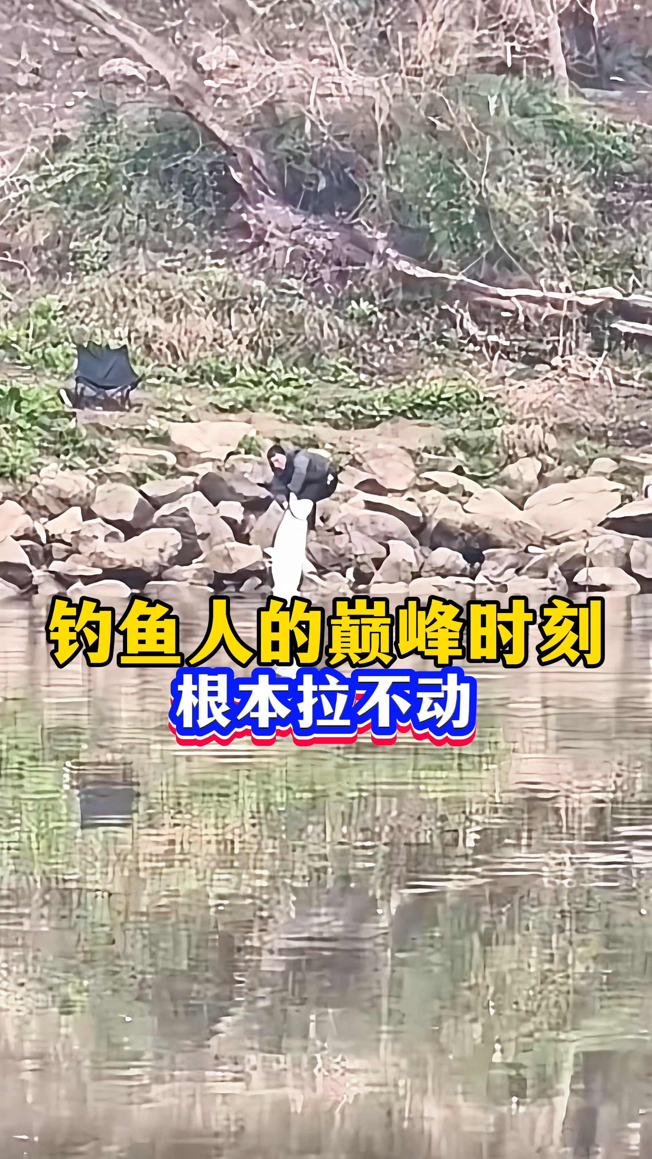 钓鱼人的巅峰时刻,鱼太大根本拉不上来