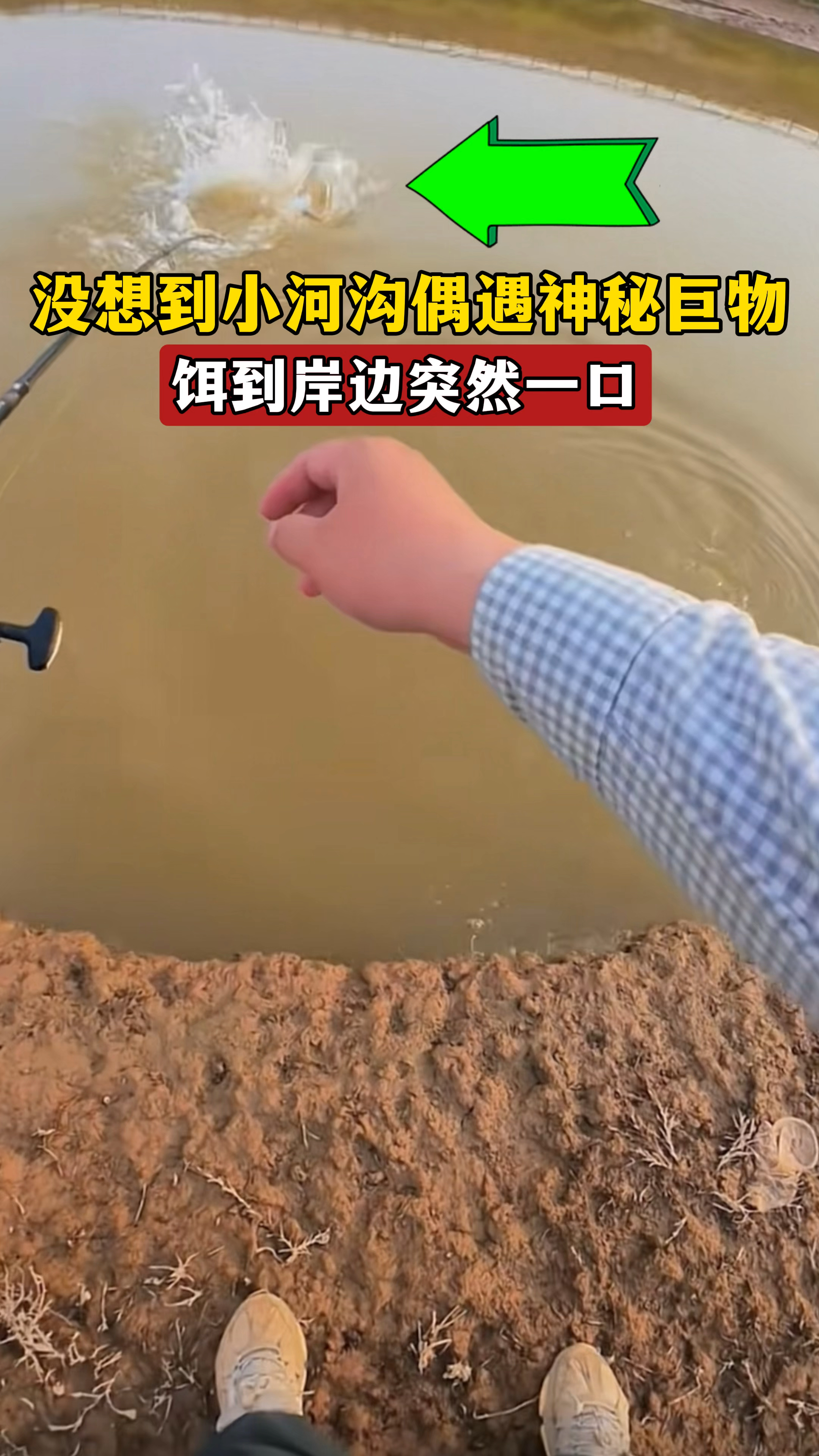 没想到小河沟偶遇神秘巨物,饵到岸边突然一条金黄色鱼猛给一口