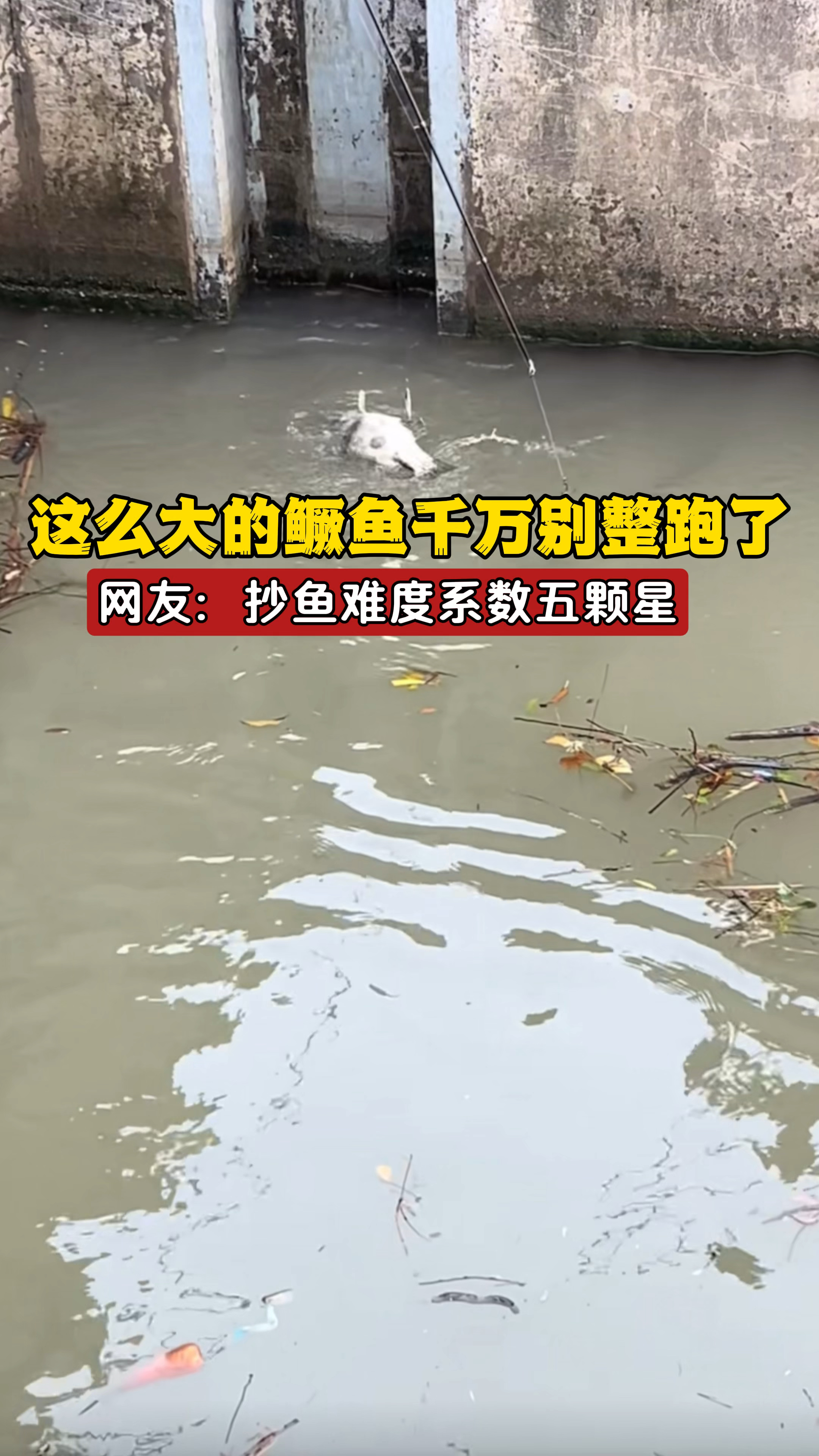 这么大的鳜鱼可千万别整跑了,网友:想弄上岸难度系数五颗星!