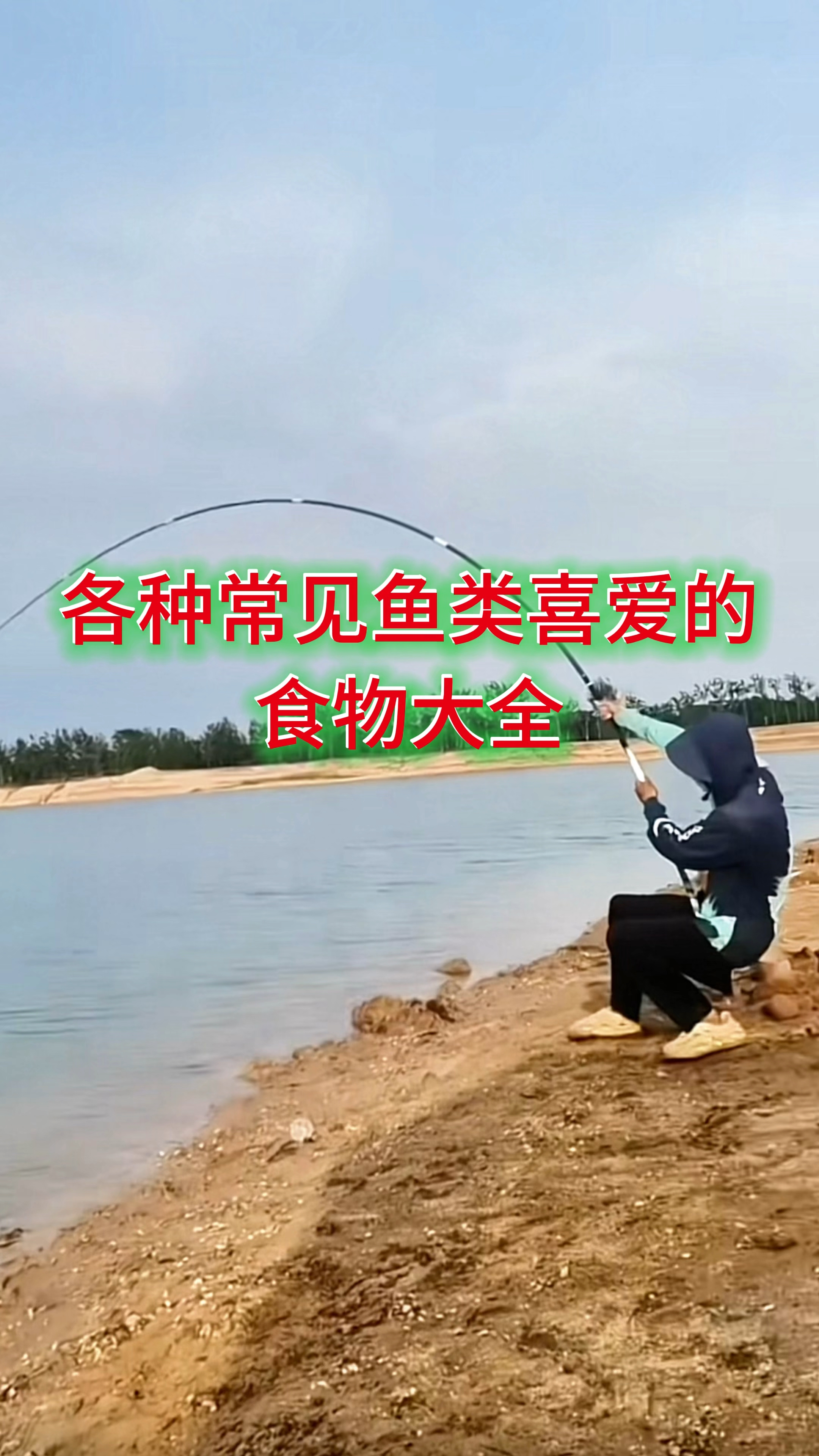 盘点各种常钓鱼类喜欢的食物大全，学会了就知道用什么饵钓什么鱼