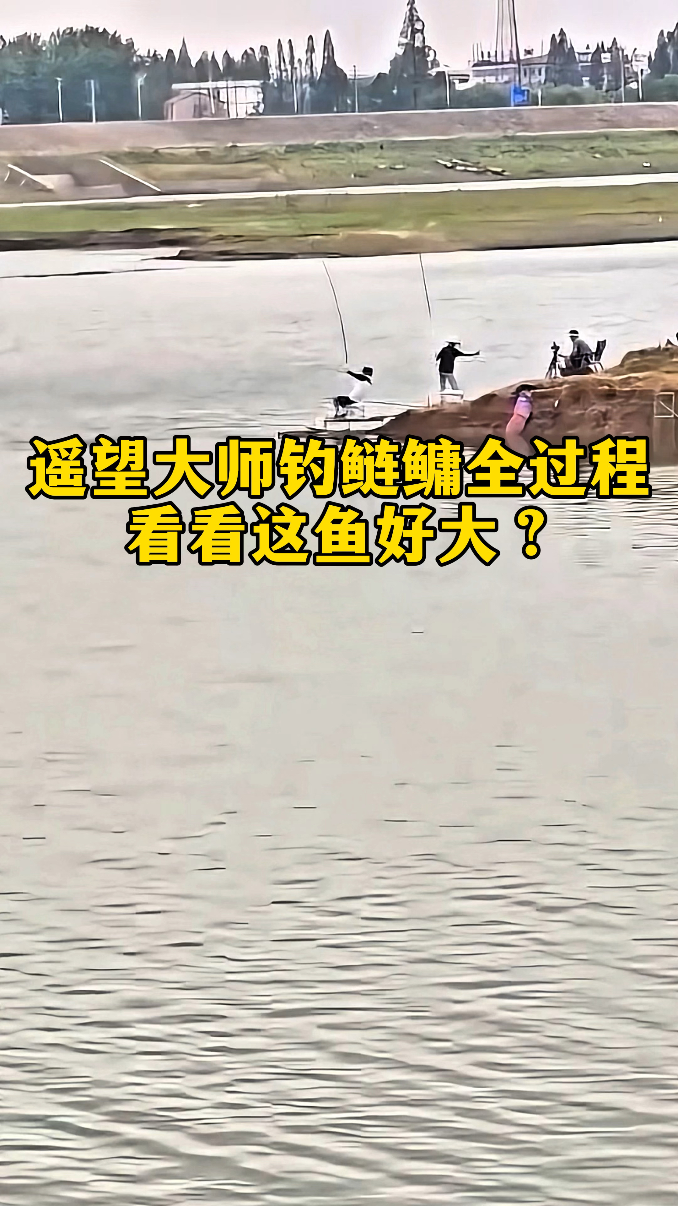 遥望大师钓鲢鳙全过程，看看这鱼大不大？