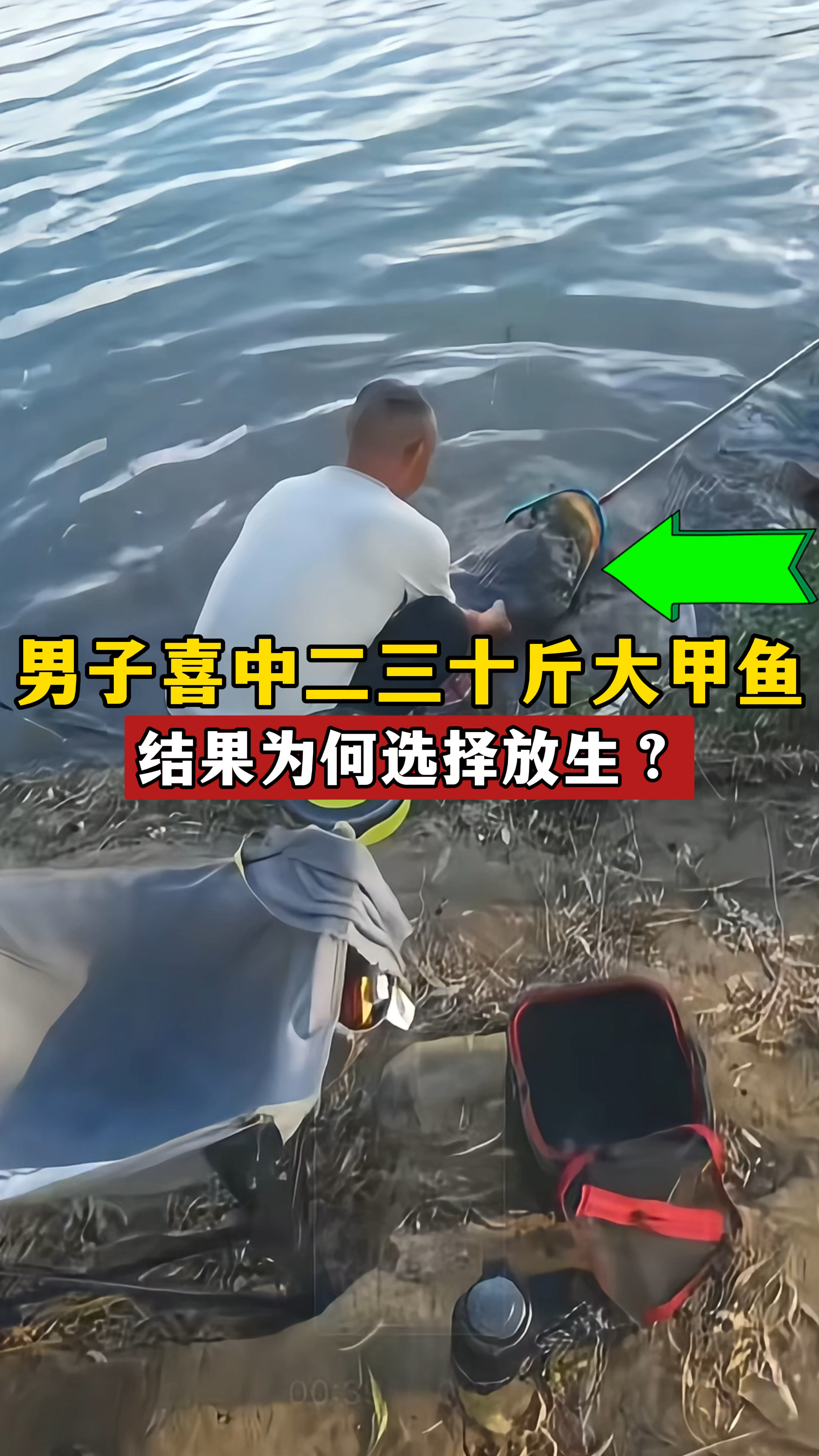 男子喜中三十斤的大甲鱼，众人为之狂喜，他却为何选择放生？