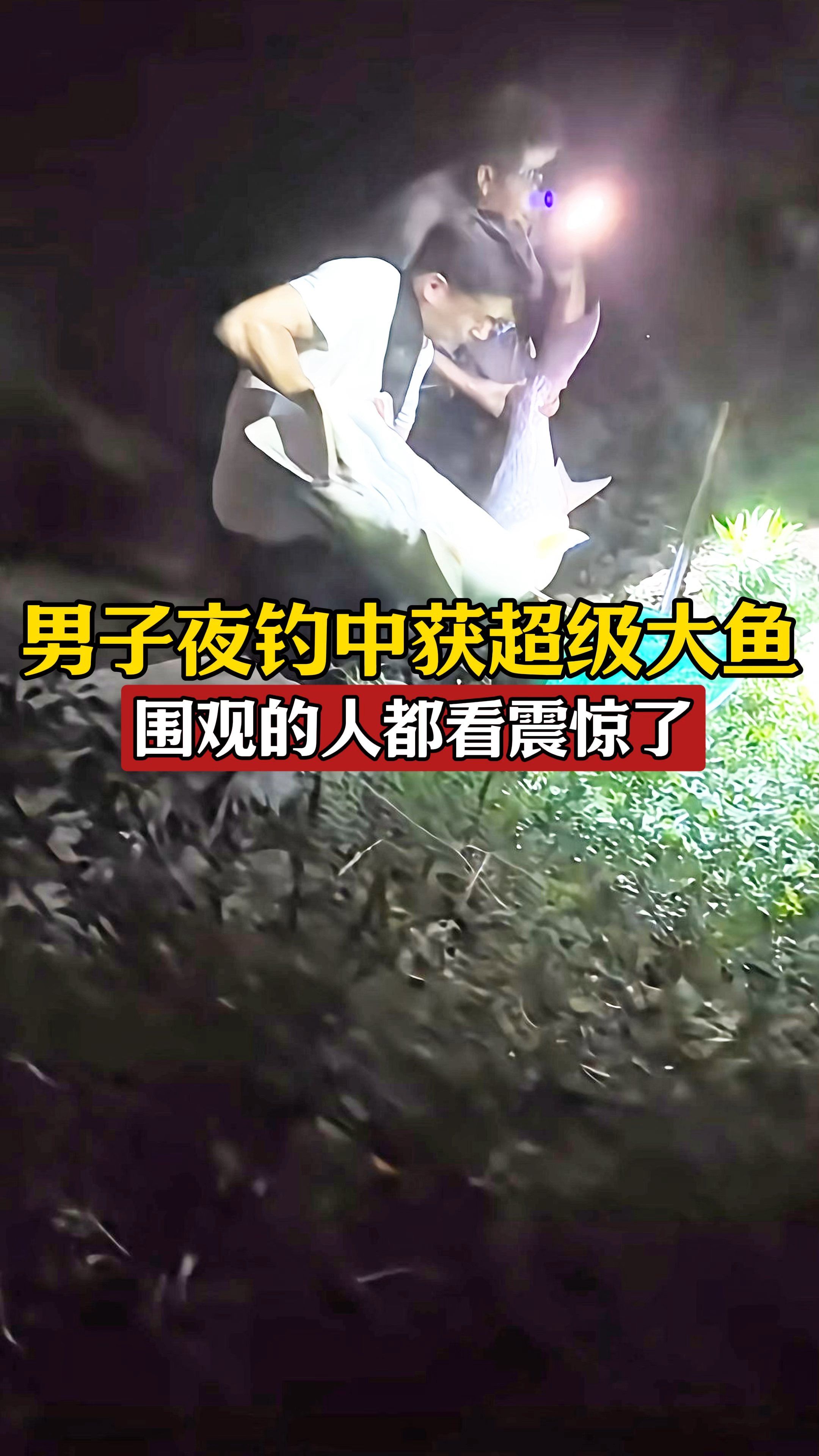 男子夜钓中获超级大鱼,路人见了都为之震惊,猜猜有多重?