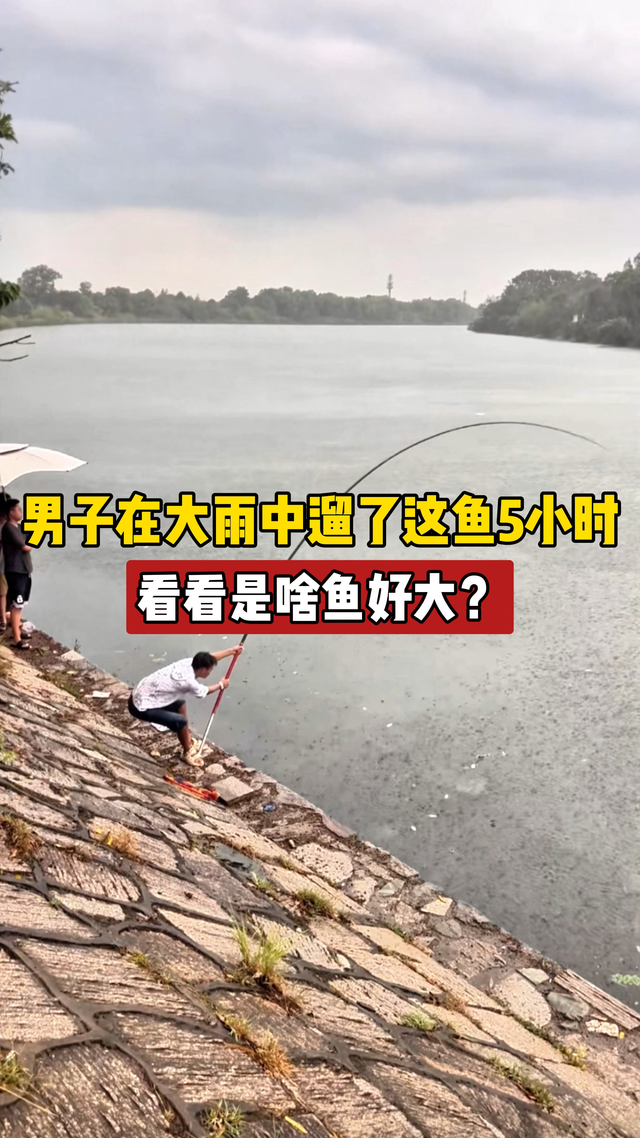 男子在大雨中遛了这鱼5个小时，看看是啥鱼？到底有好大？