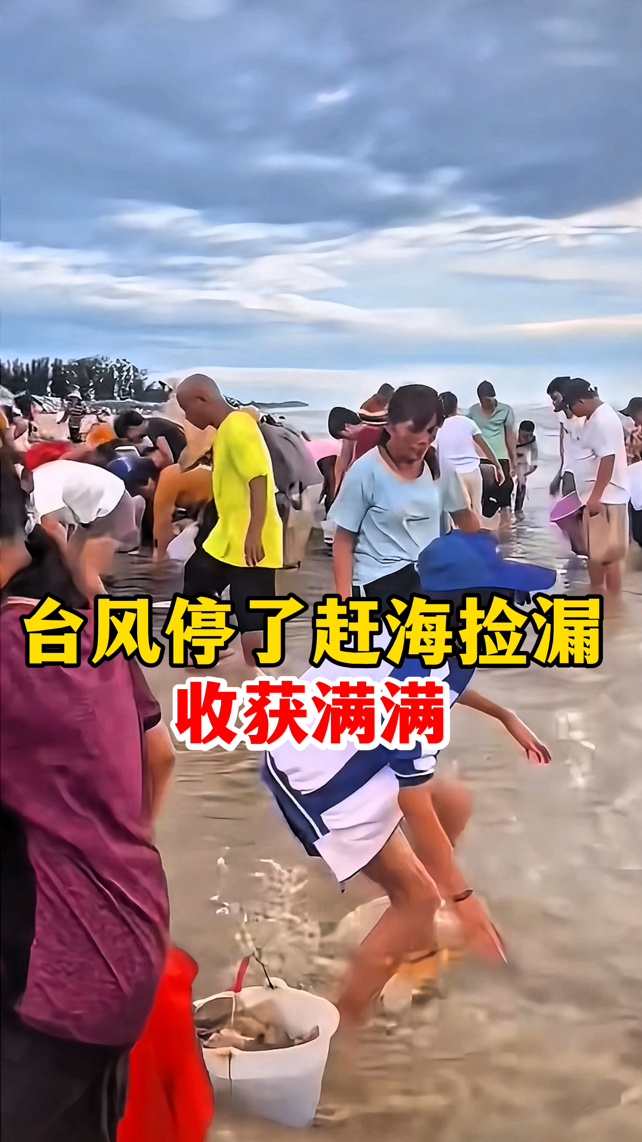 台风停了赶海捡漏,没想到各种贝壳鱼虾收获满满