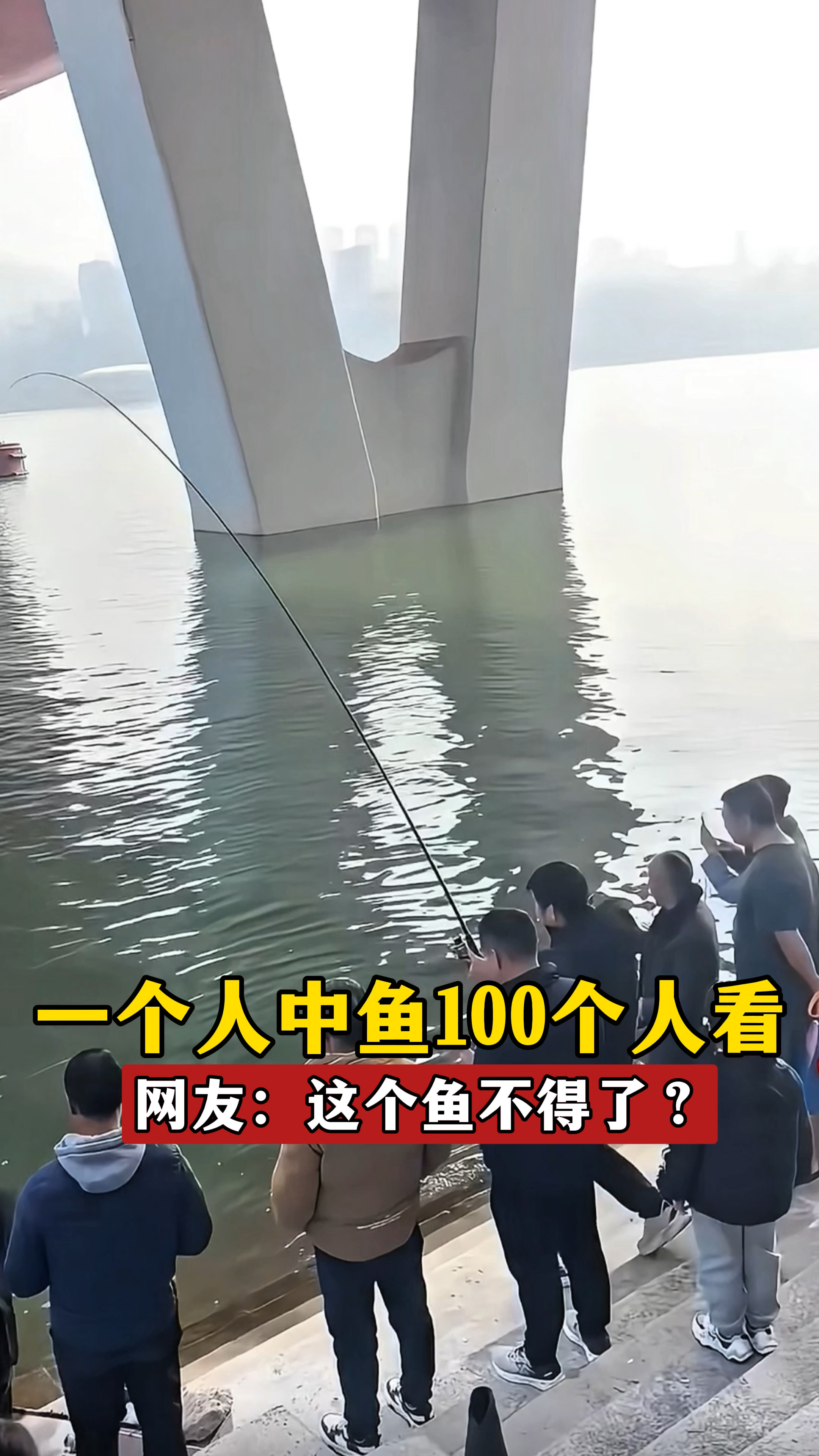 一个人中鱼100个人看，网友：这个鱼不得了？