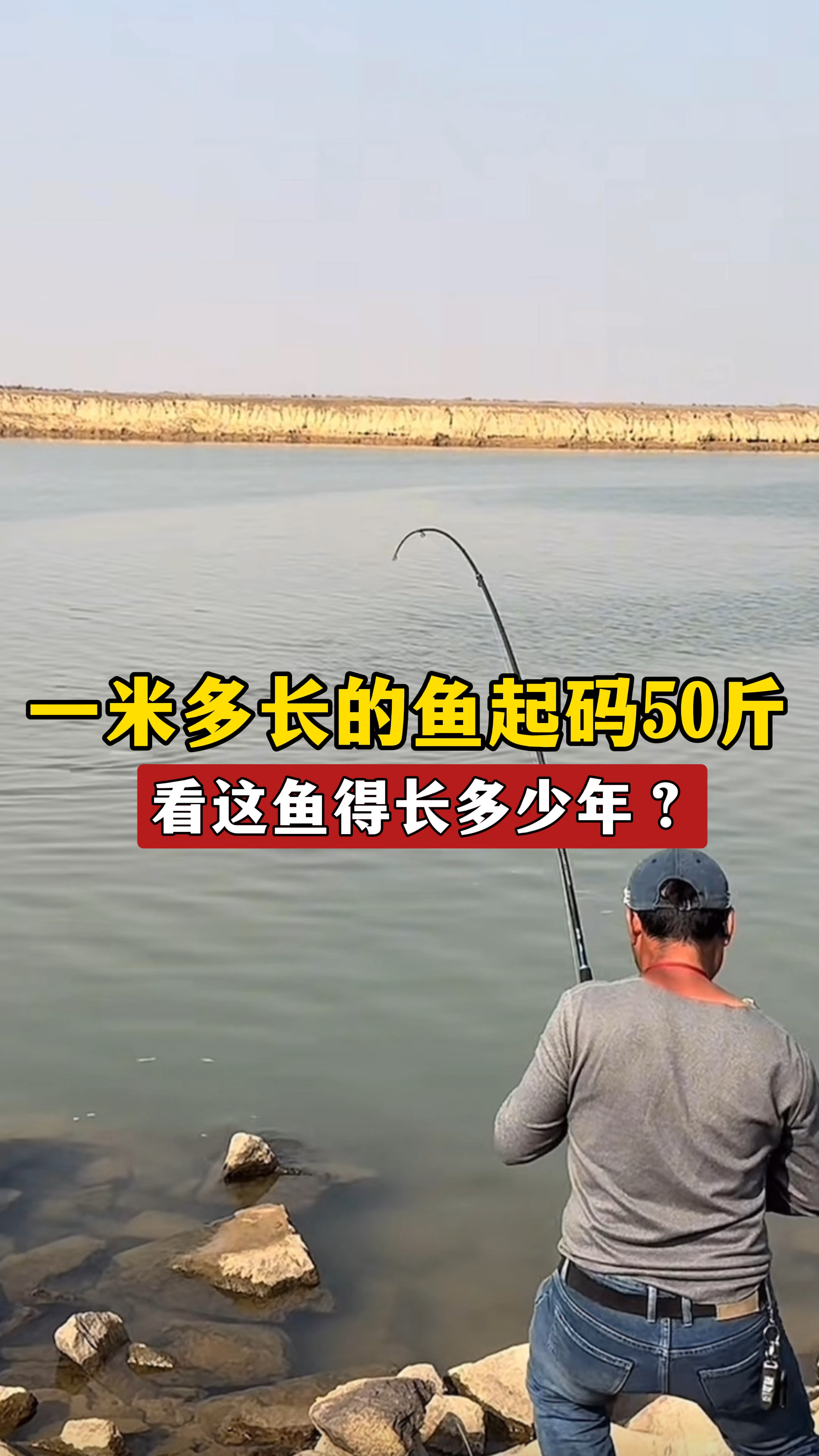 男子野钓中获一米多长的鱼起码50斤,像这鱼10年能长这么大吗?