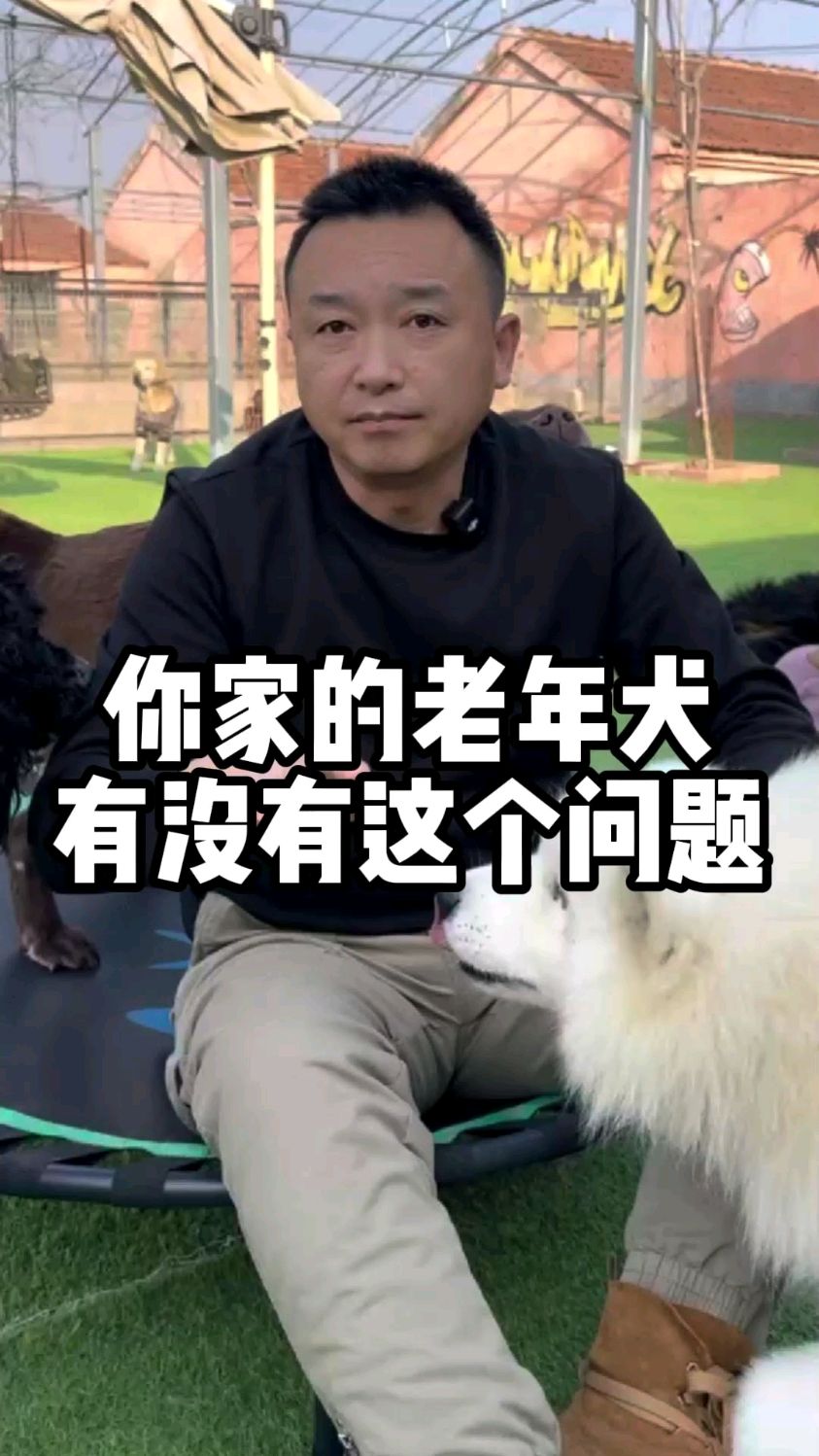 狗狗越老越不爱动,就是因为肌肉在流失。赶紧给它换上这款狗粮。