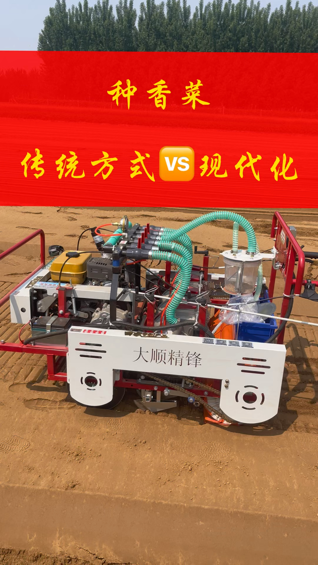 种香菜你还在用传统的方式播种吗？现代化播种机一机搞定播种没烦