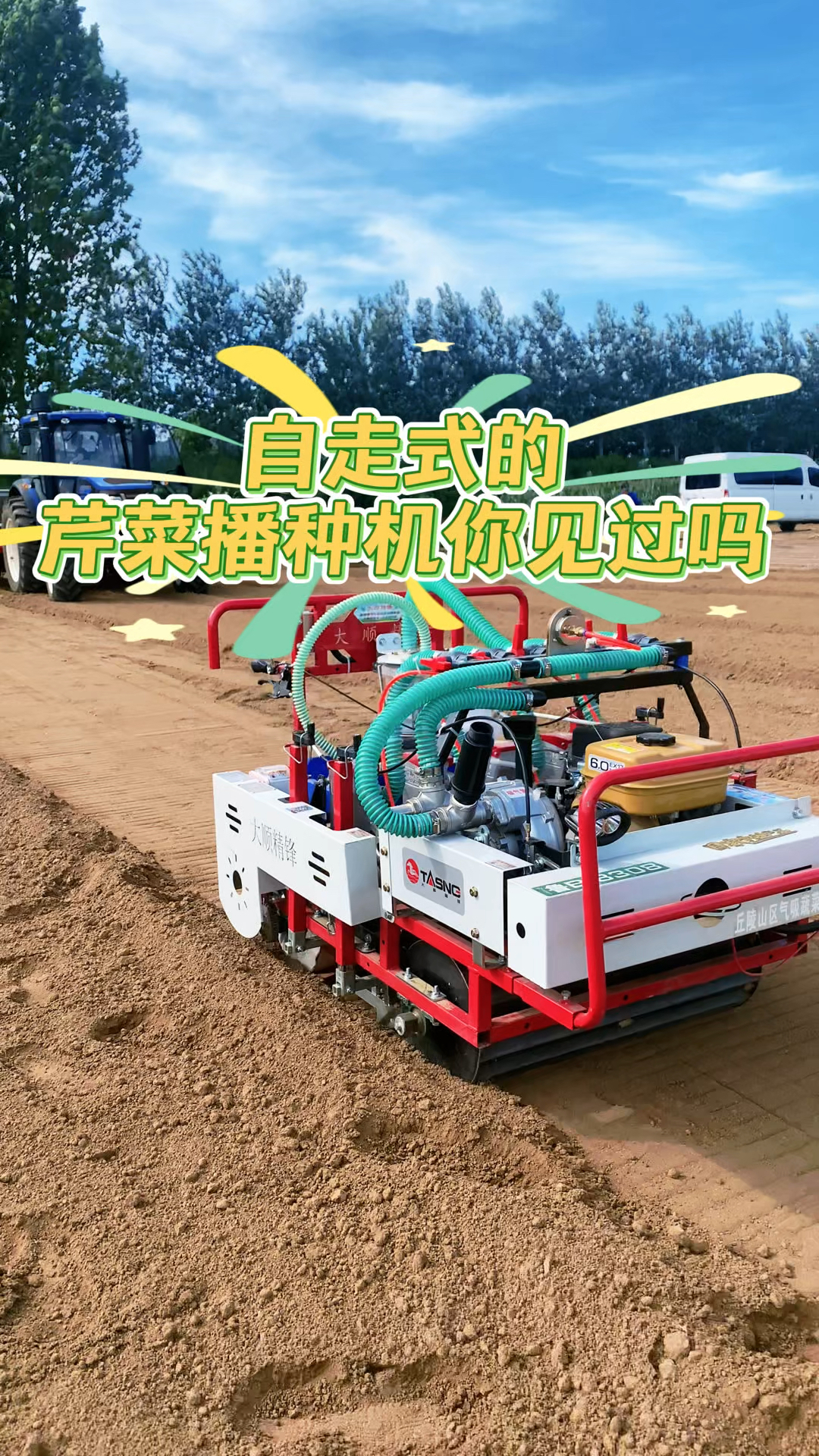 秋季芹菜你种了吗?自己走的气吸芹菜播种机你见过吗