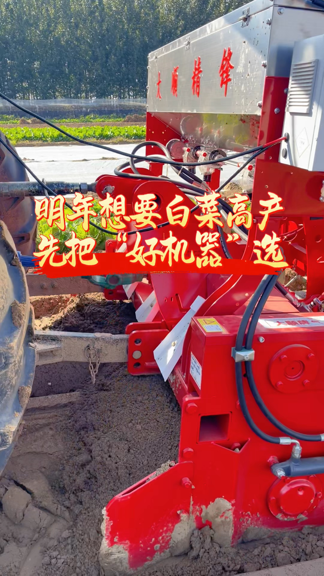 明年想要白菜高产,先把好机器选