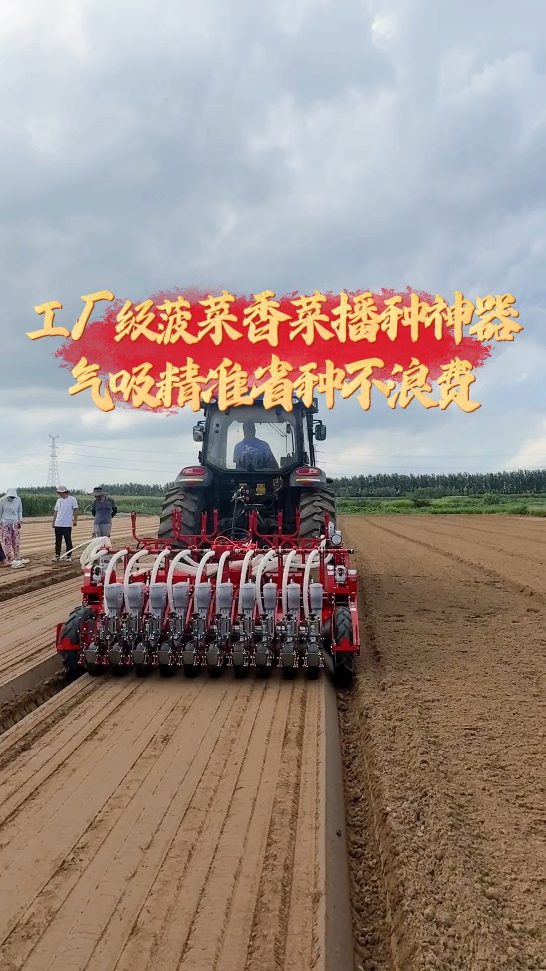 专为加工厂级菠菜香菜而生的气播机,播种单籽率可达98%以上