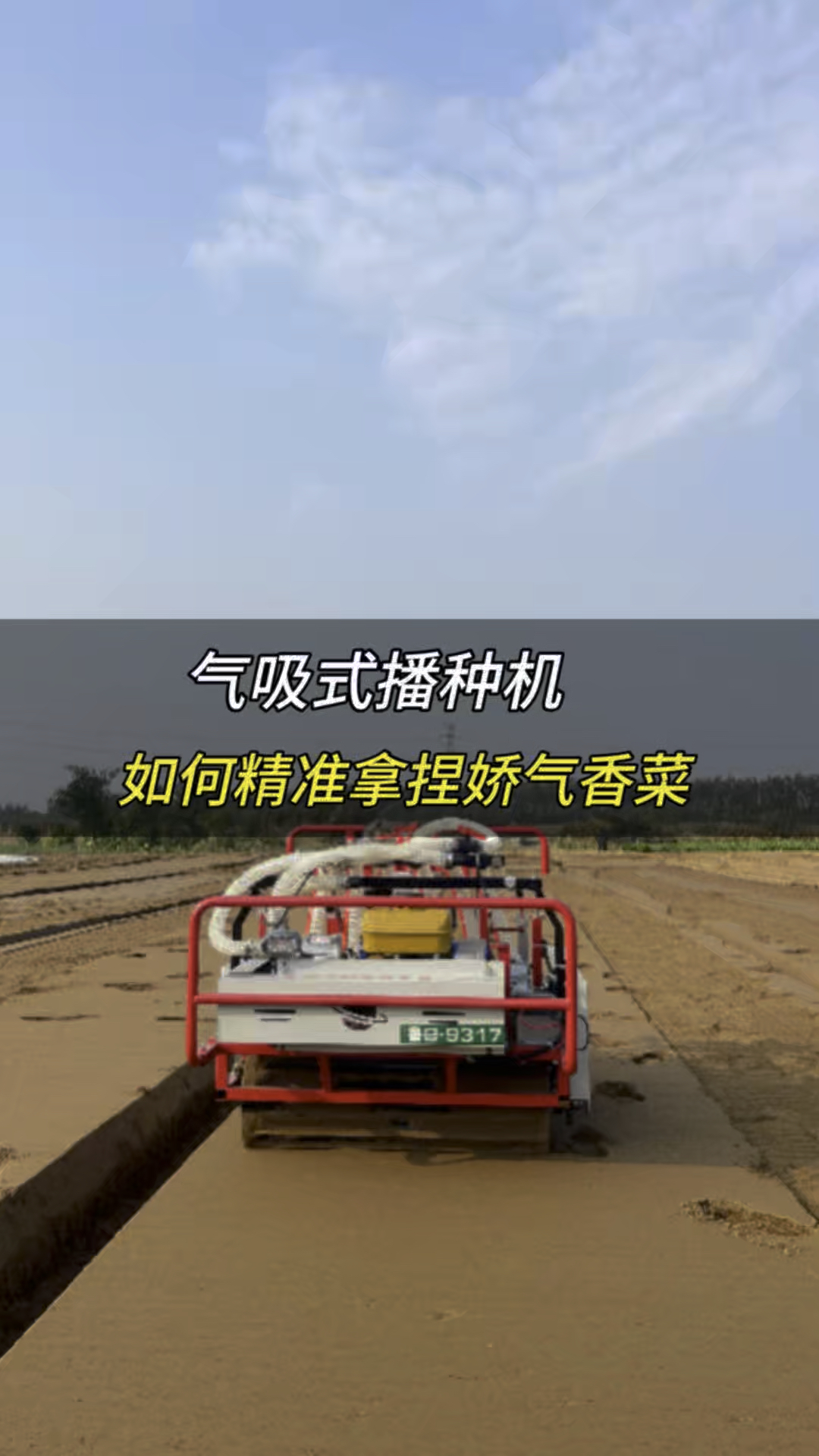 气吸式播种机如何精准拿捏娇气香菜