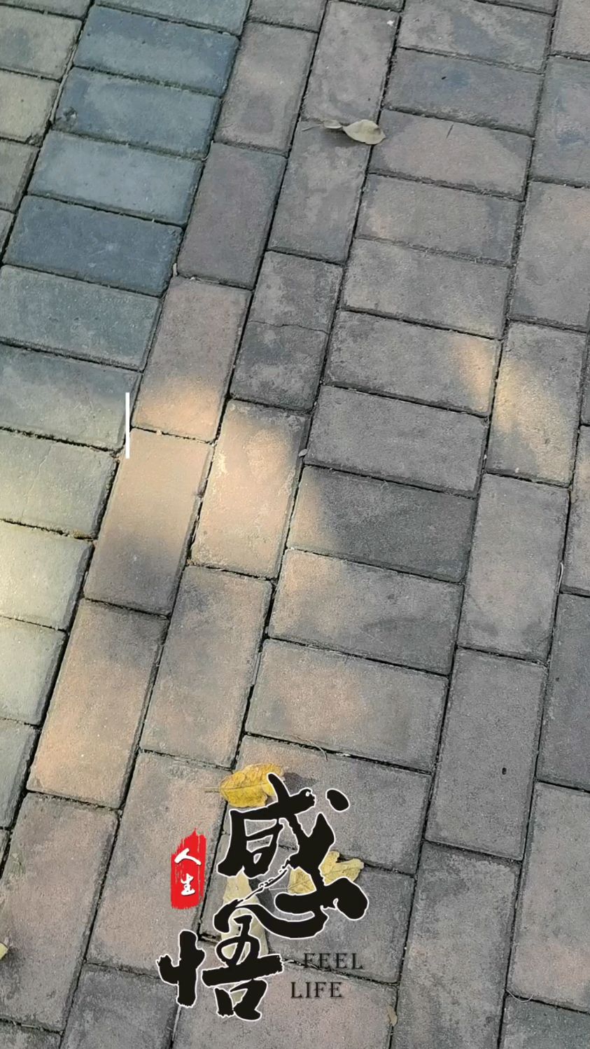 只是错把鱼目当了珍珠