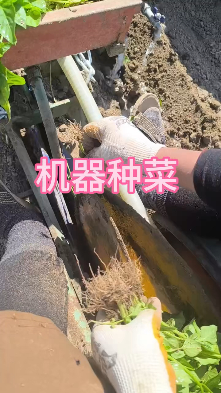 原来现在机器竟然也能种菜了