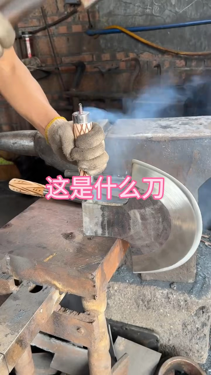 这刀用来砍肉应该很不错吧