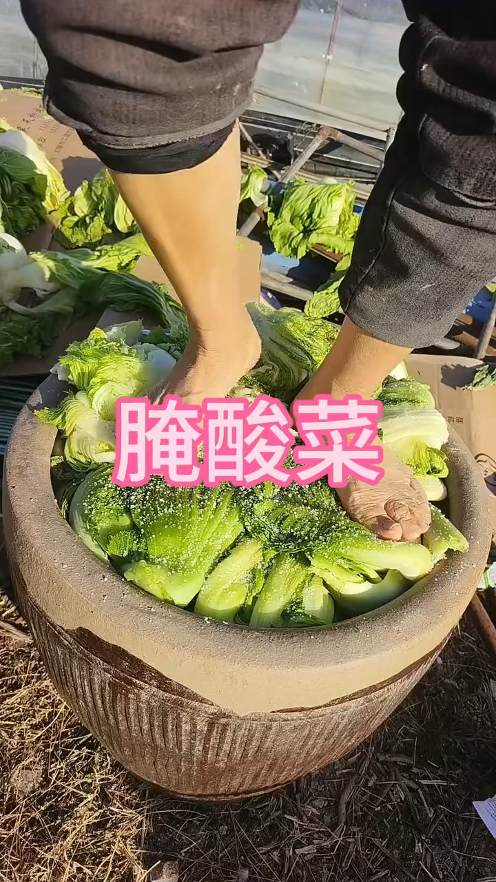 这样腌酸菜你见过吗