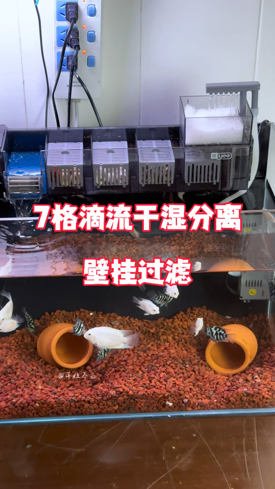 家里小于60的鱼缸，你可以试试这个，7格滴流干湿分离壁挂过滤