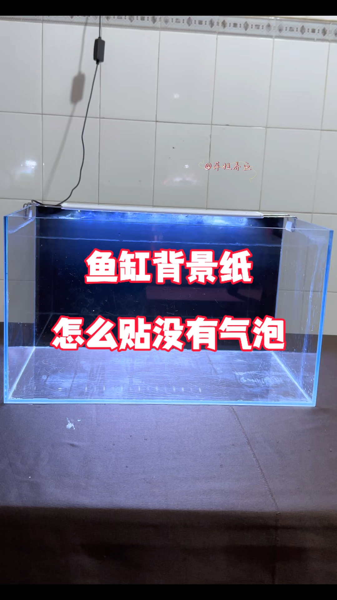 鱼缸背景纸怎么贴没有气泡#水族 #养鱼日记 #鱼缸里的大自然