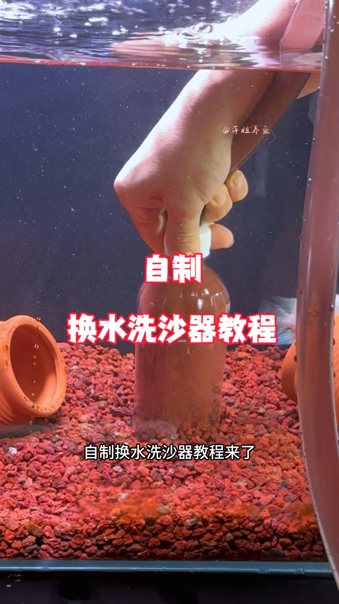 简单易学的自制换水洗沙器教程来了#水族#养鱼日记 #手工