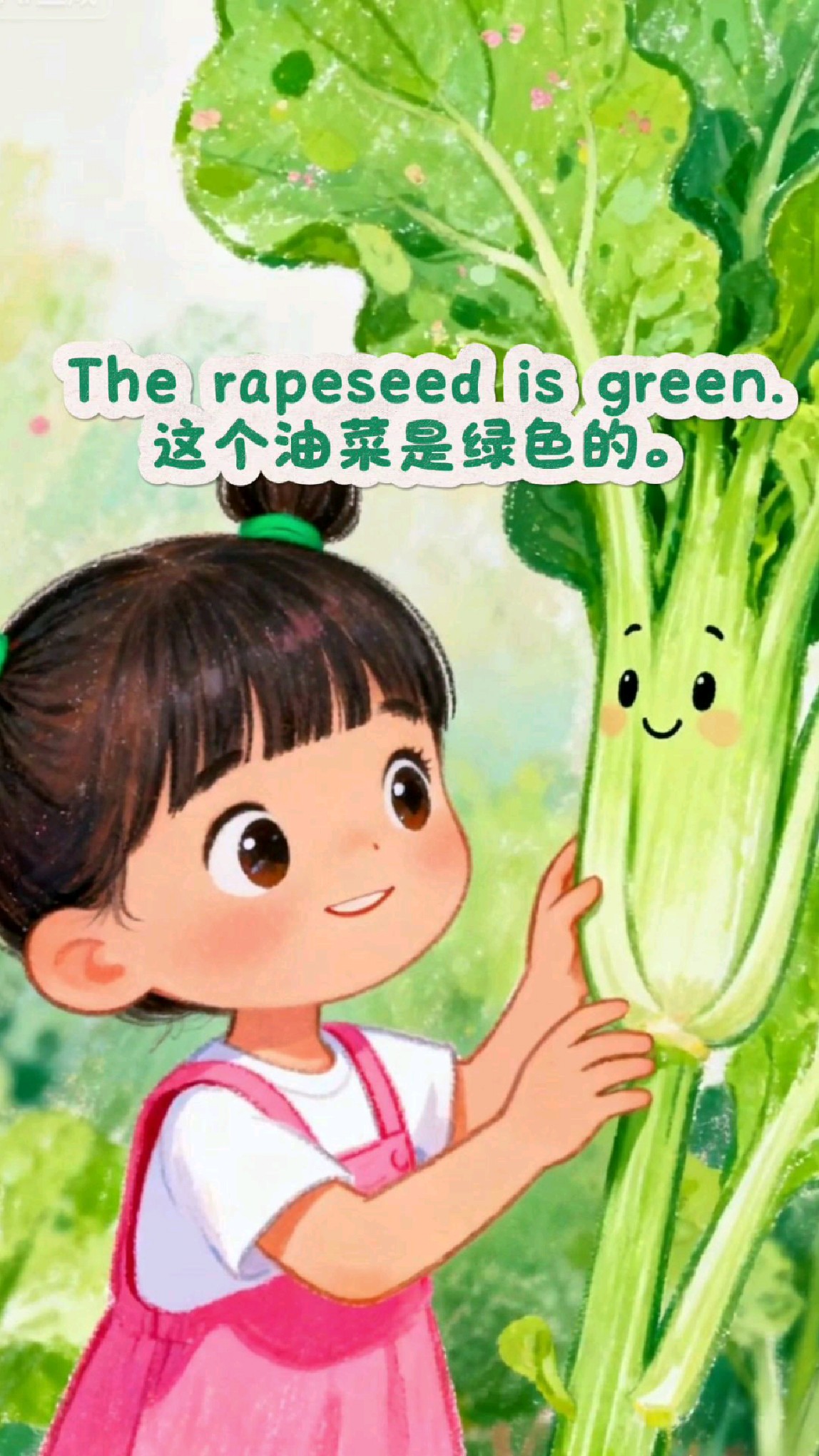 和软萌小女孩一起学英语吧!蔬菜大全之油菜!