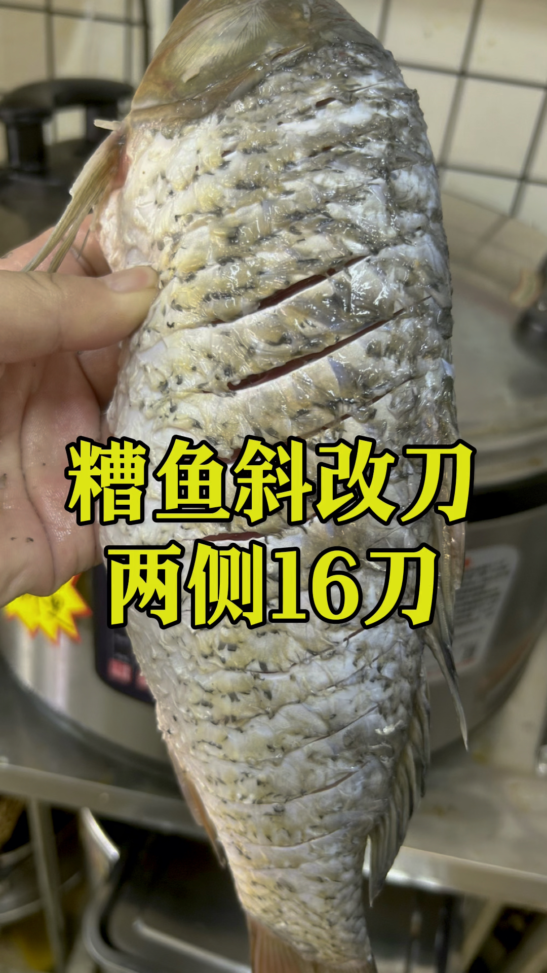 糟鱼改刀斜四十五度,每边八刀