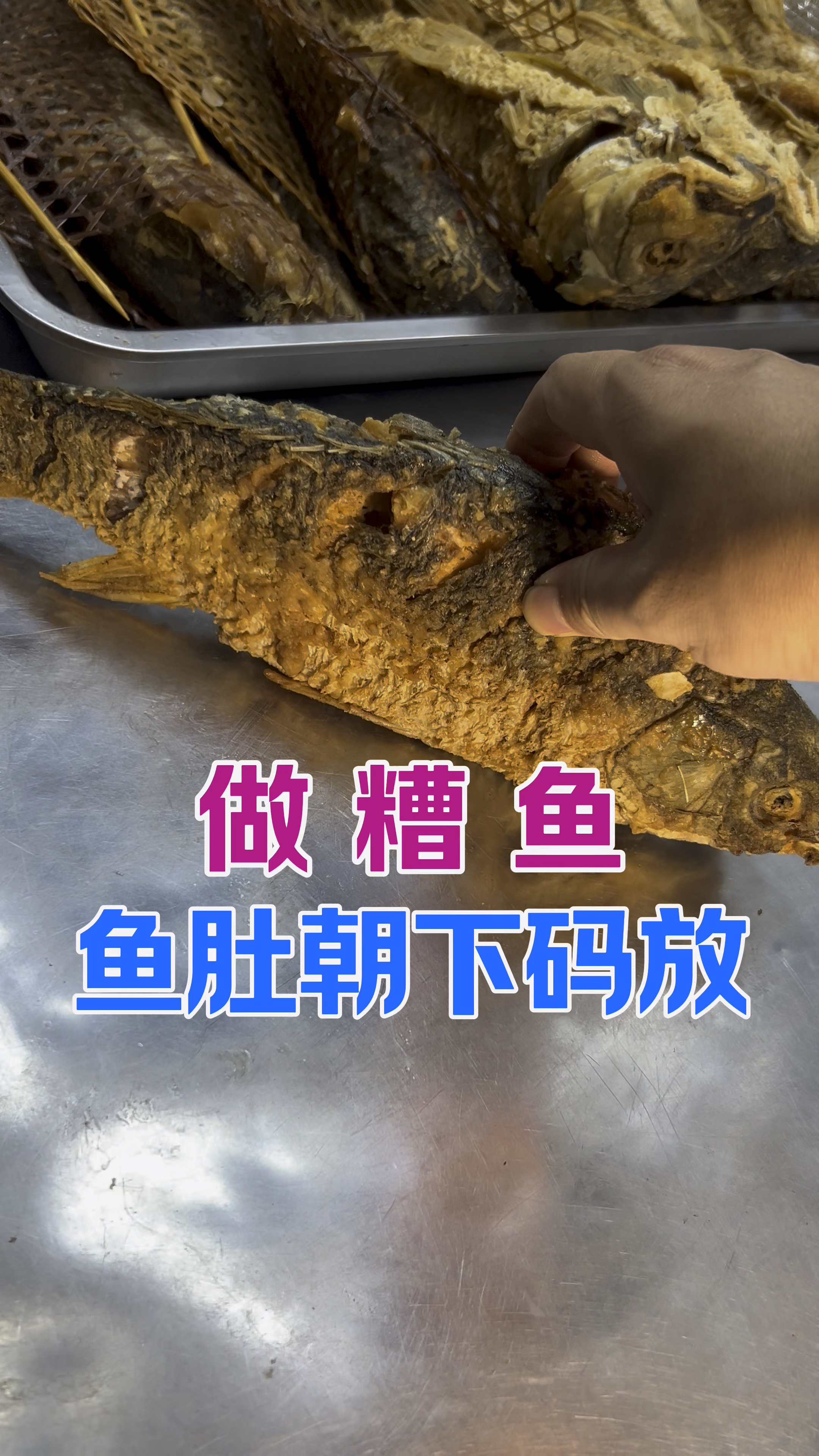 做遭鱼肚子朝下的秘密全在于此。