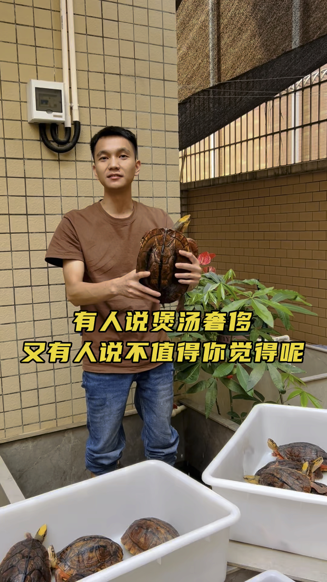 有人说金钱龟煲汤奢侈又有人说不值得,你觉得呢?