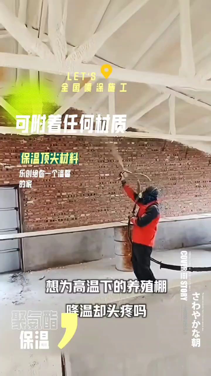 养殖户猪舍鸡舍屋顶喷涂硬泡聚氨酯保温,大大减少了传热效果