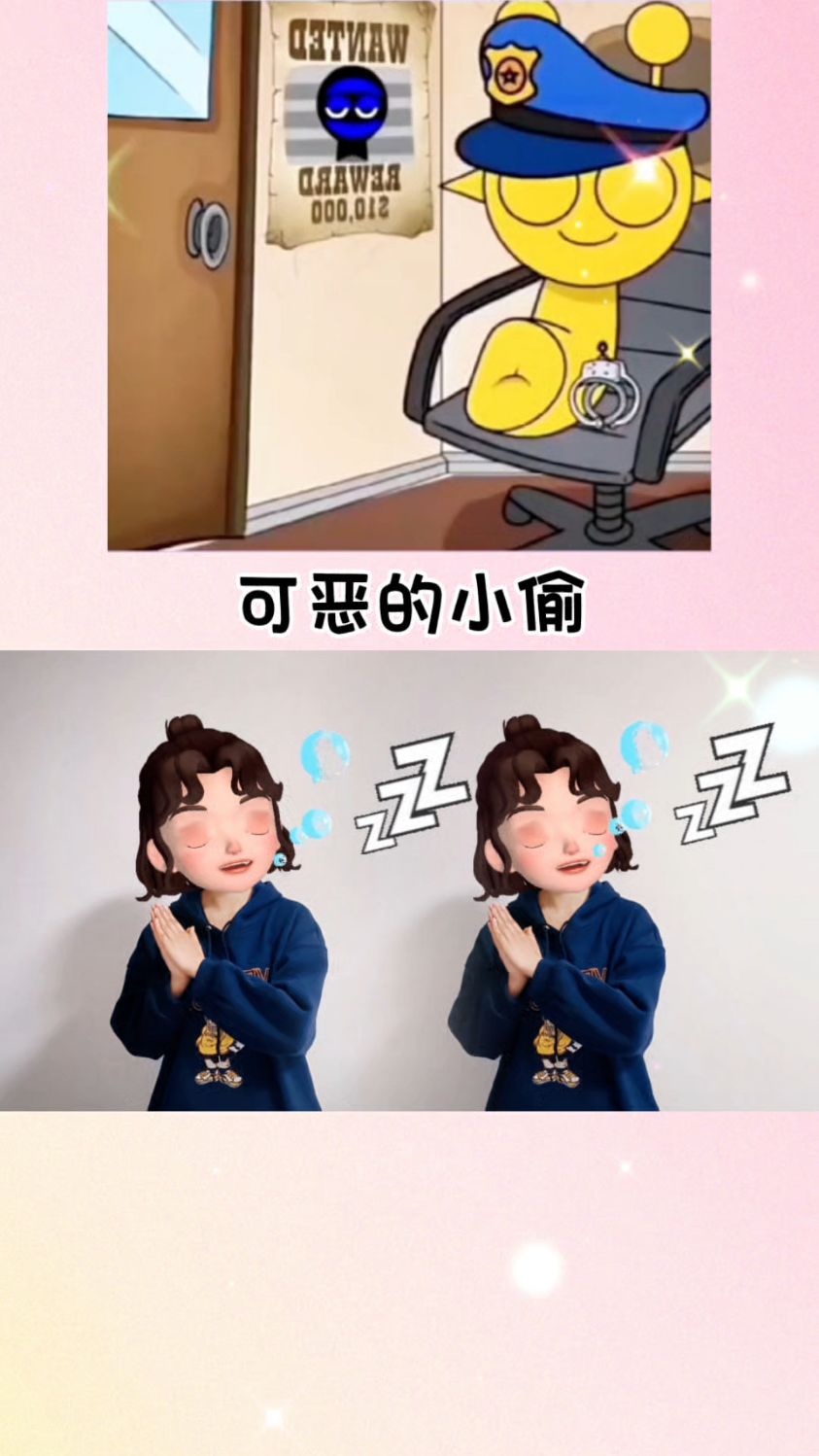 可恶的小偷终于抓到你了