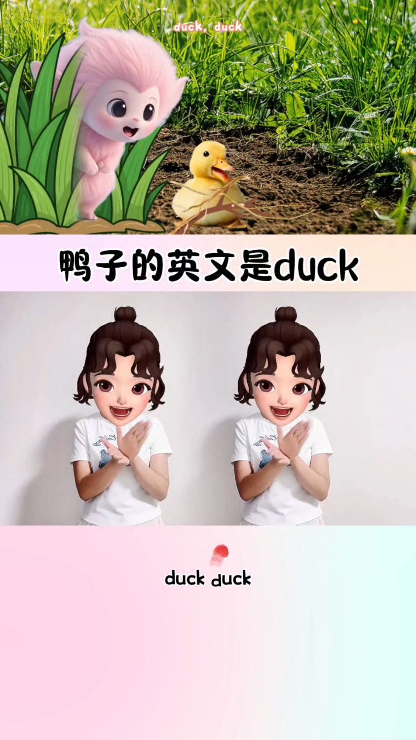 鸭子的英文是duck