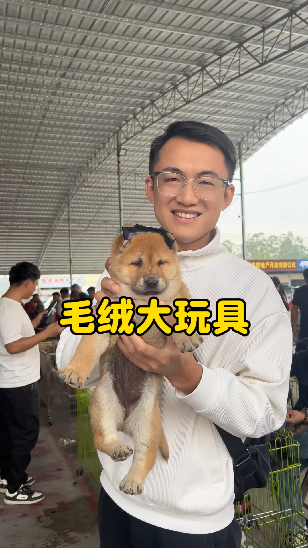 黄色的毛绒大玩具