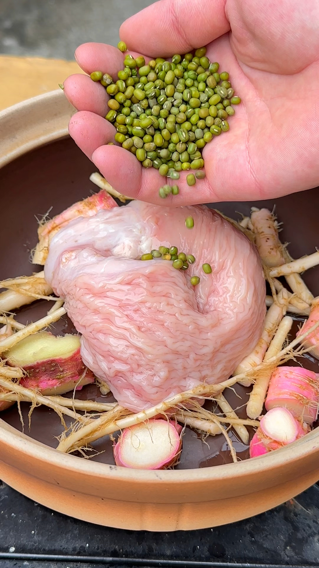 野刺苋又叫刺苋菜，很多人摘它的嫩茎叶当野菜，却把它的根给忽略