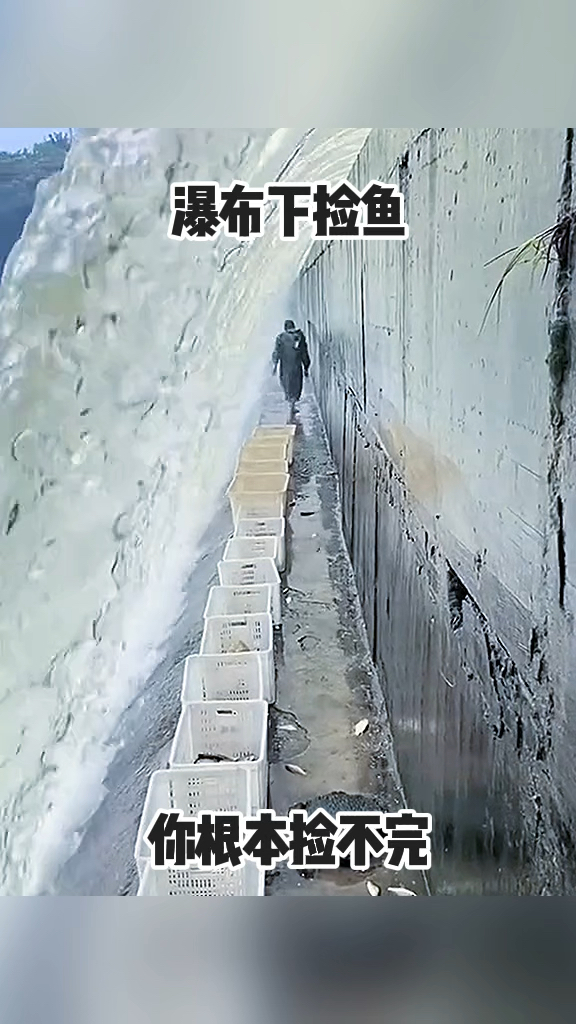 瀑布瀑布下捡鱼,根本捡不完!