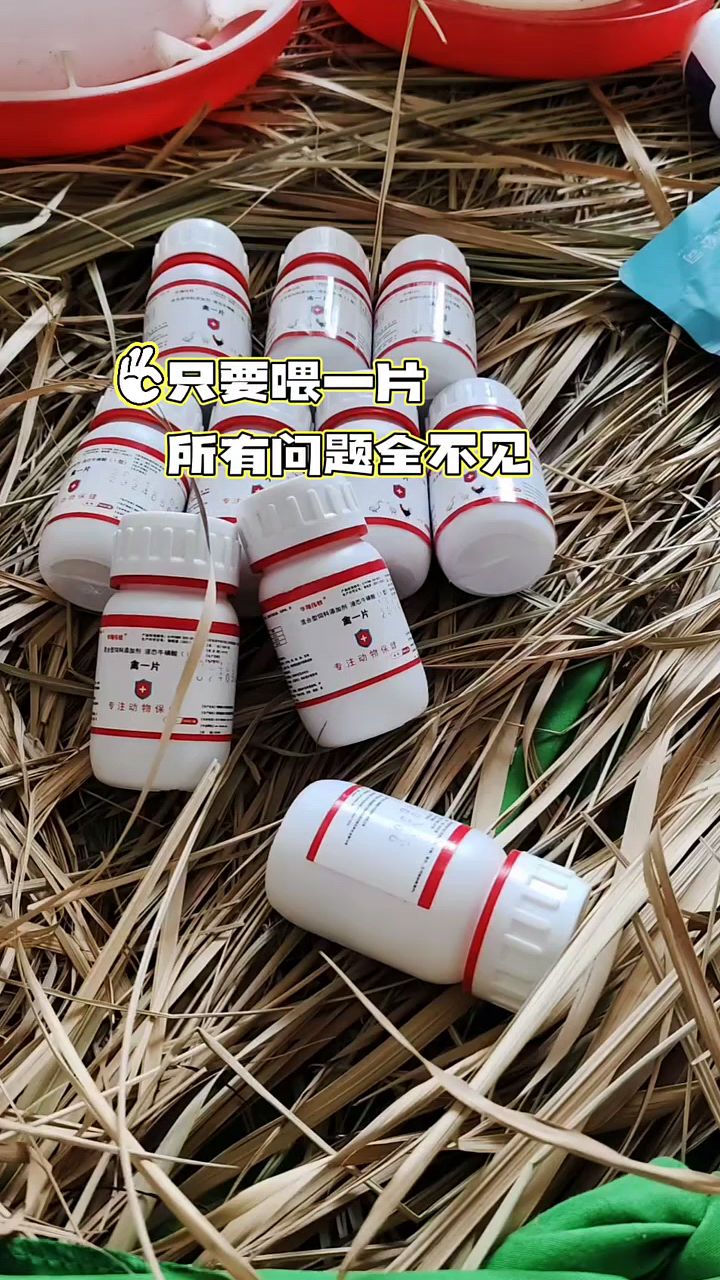 养殖鸡鸭鹅就用它