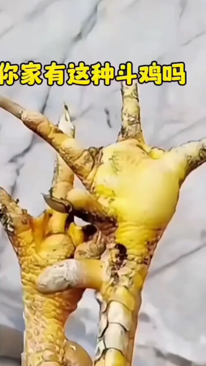 鸡脚掌肿大怎么办