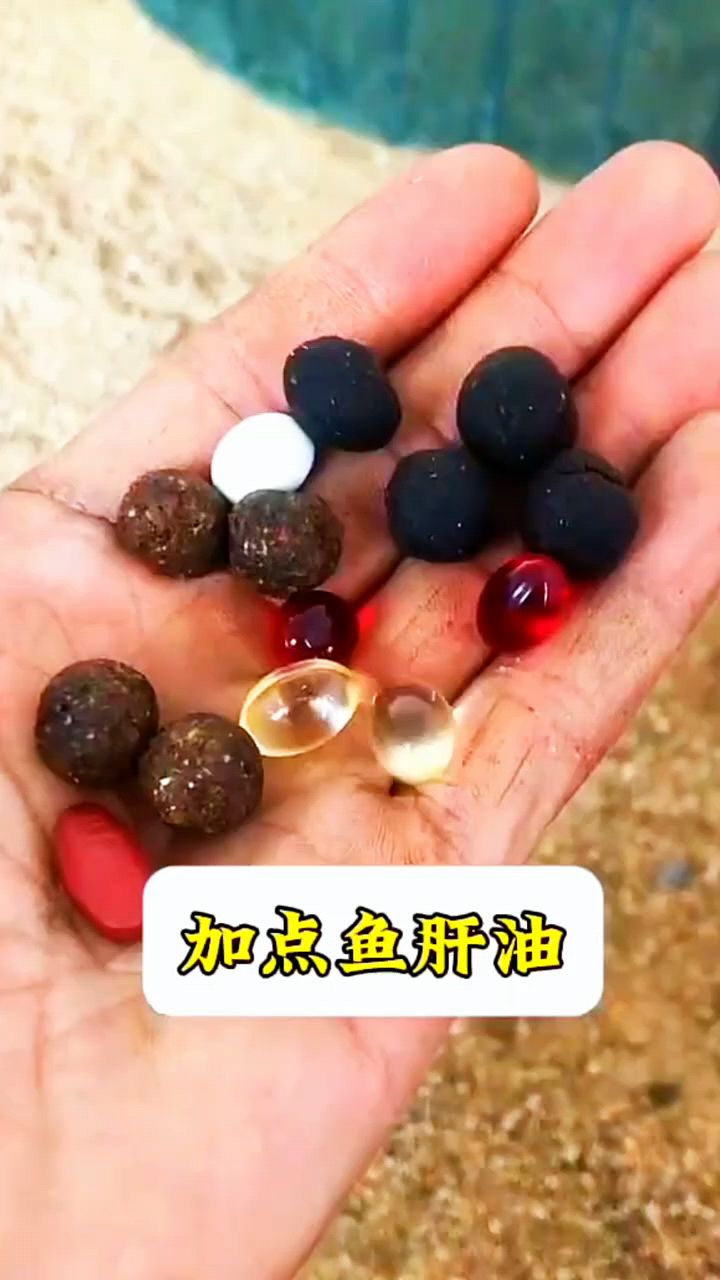 鱼肝油喂鸡就是好