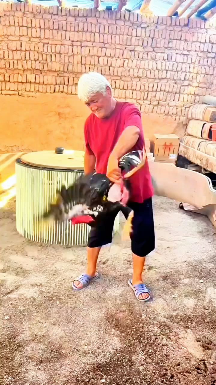 斗鸡比赛就是用这个