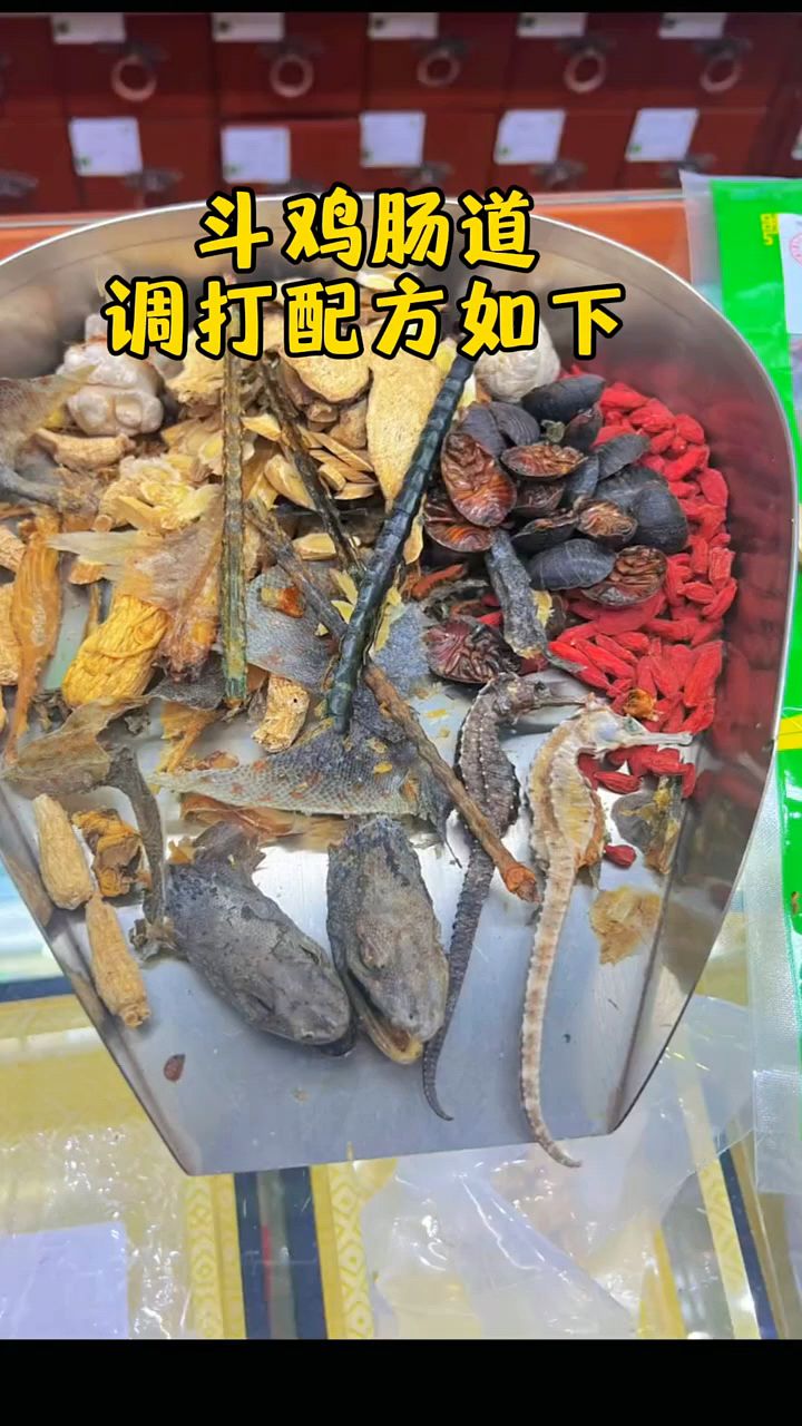 斗鸡怎么调理打料啊