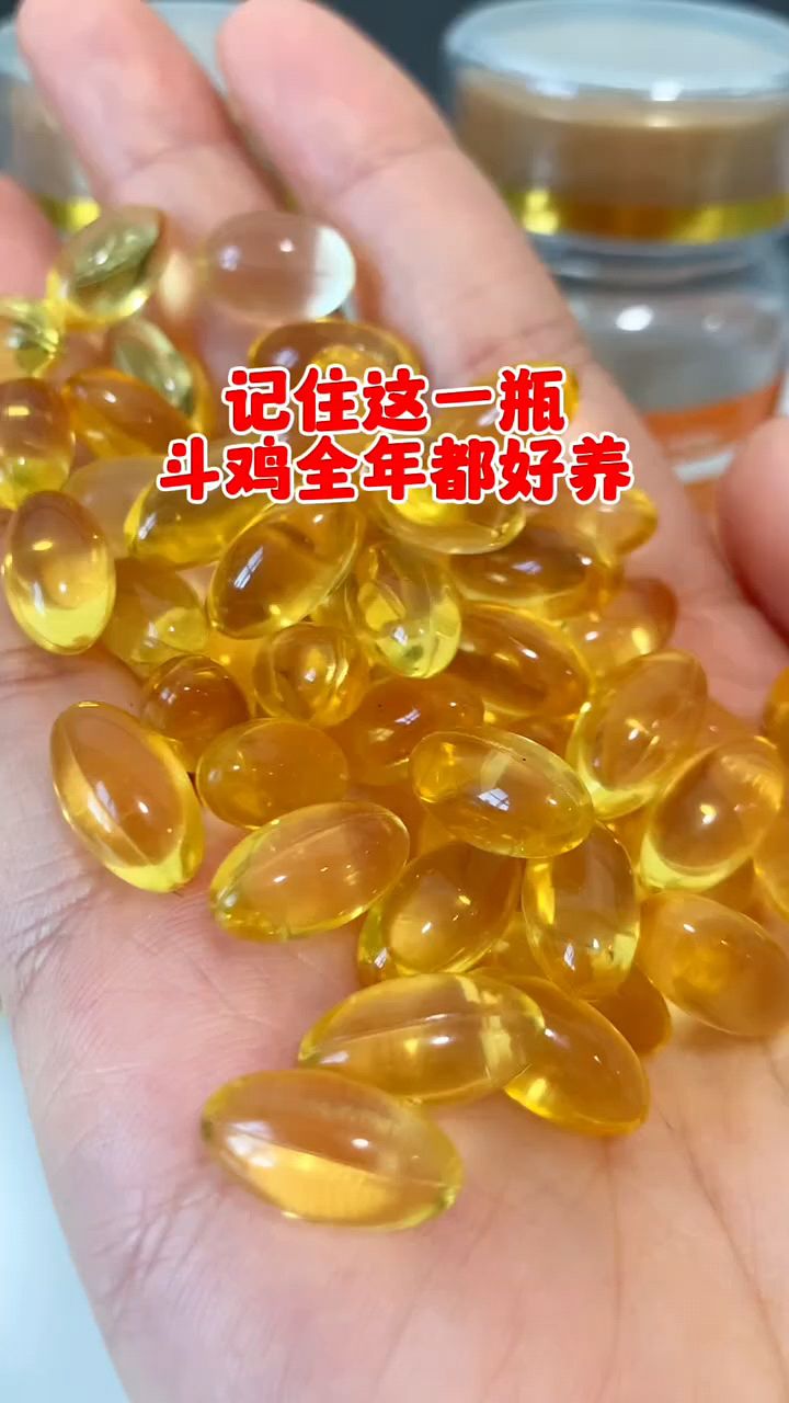 斗鸡喂深海鱼油就是好