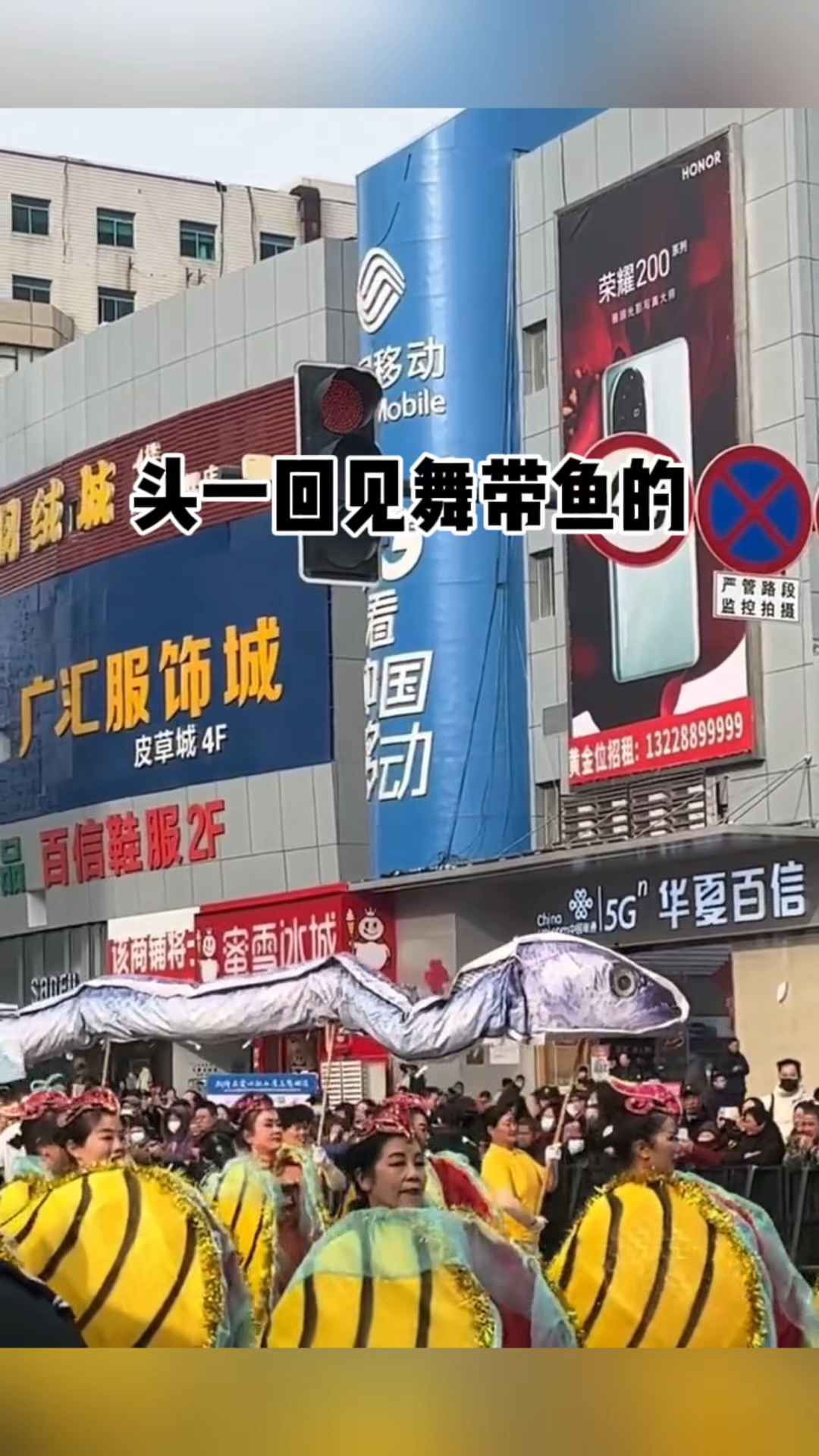 头一回见舞带鱼的!