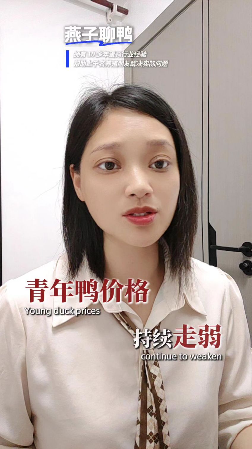 5 月19号蛋鸭行情:鸭蛋坚挺,淘汰老鸭全面下跌!