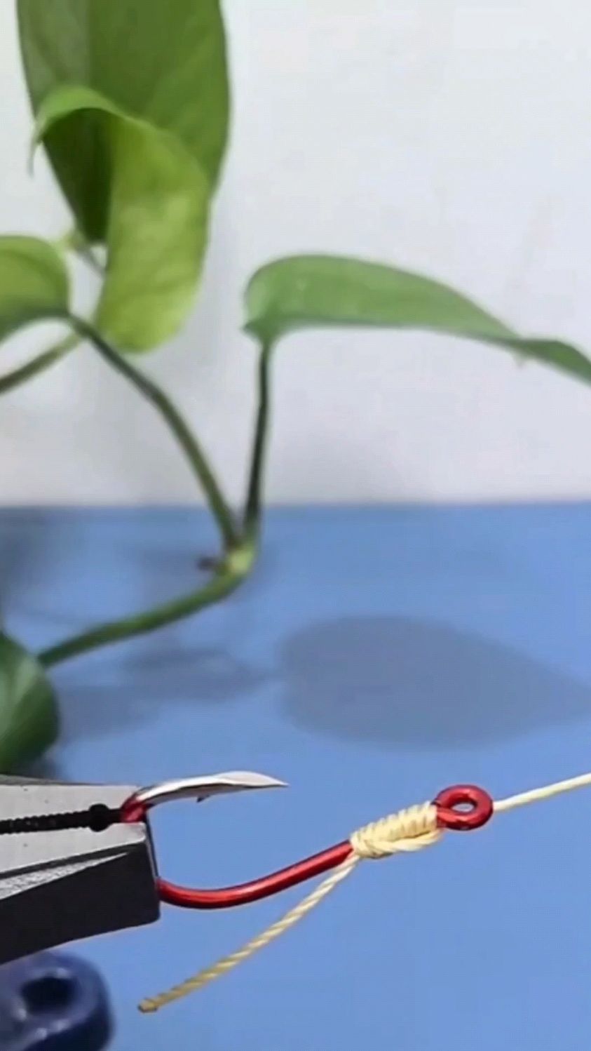 绑钩绝技!鱼钩绑线不外传秘籍