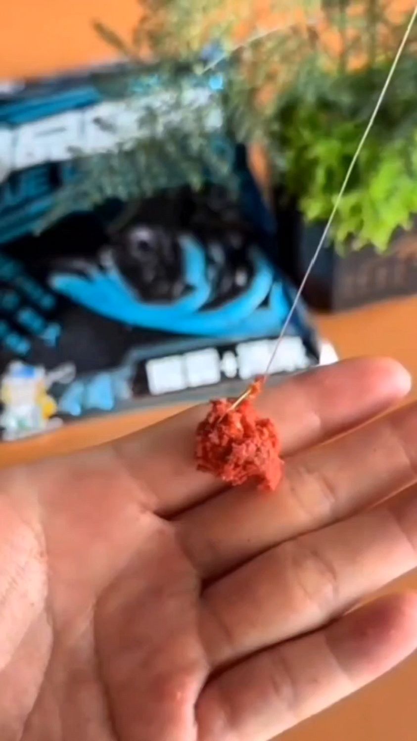 钓鱼佬疯抢的高品蓝鲫!四季通杀爆护神器,大鲫大鲤狂咬不停
