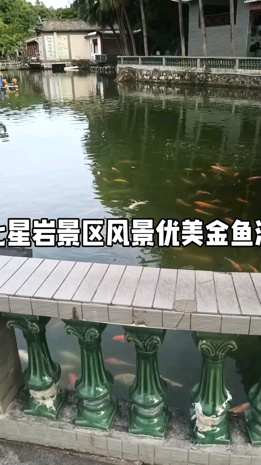 匚星岩风景优美金鱼池