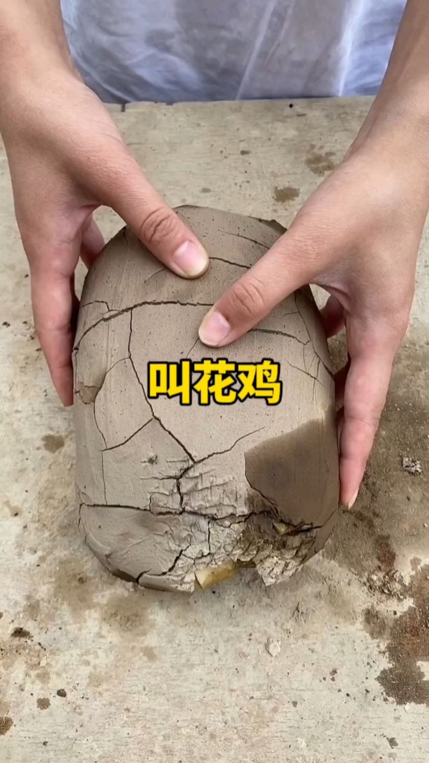 正宗叫花鸡的做法