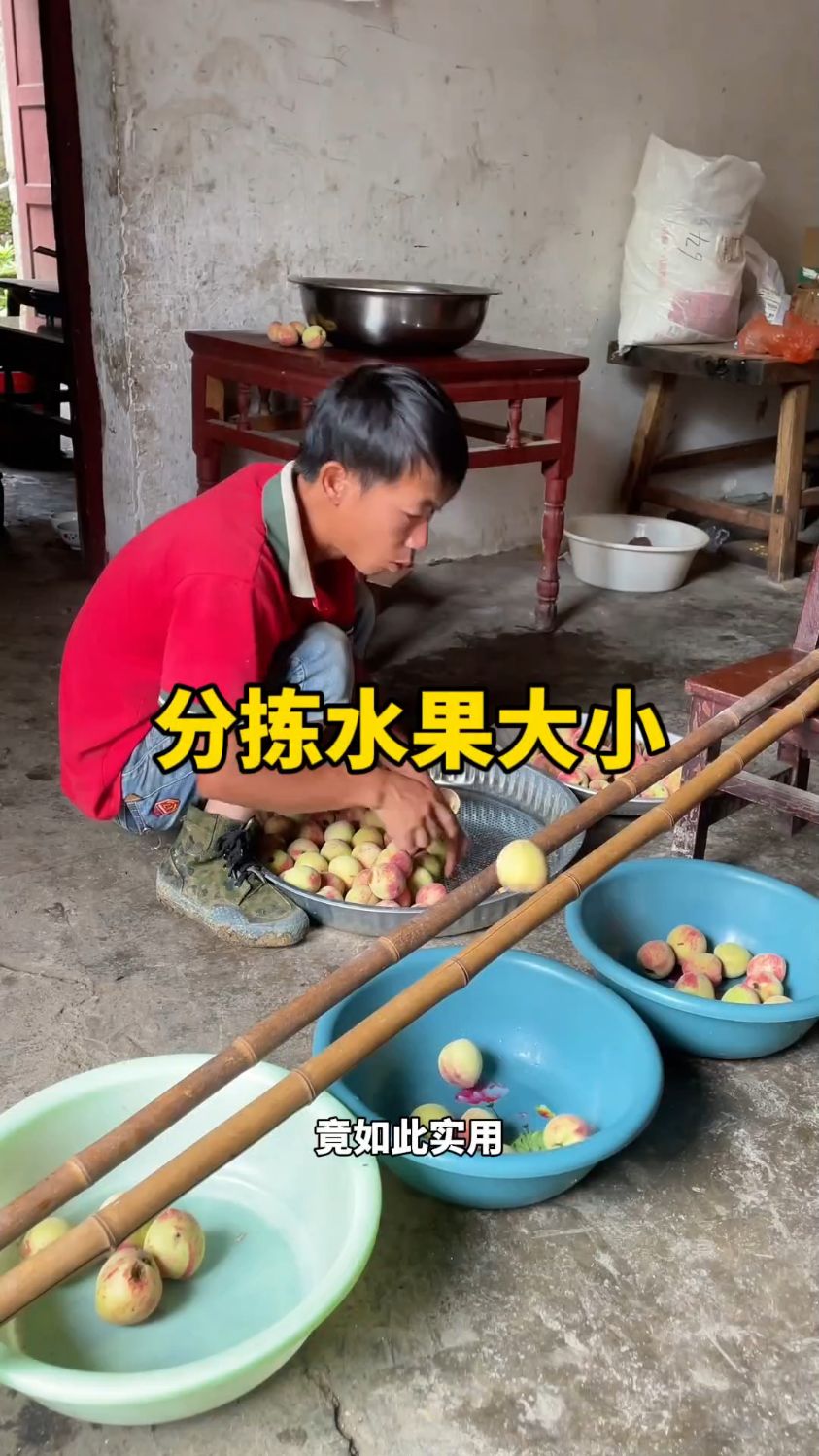 老辈人传下的分拣“巧办法”