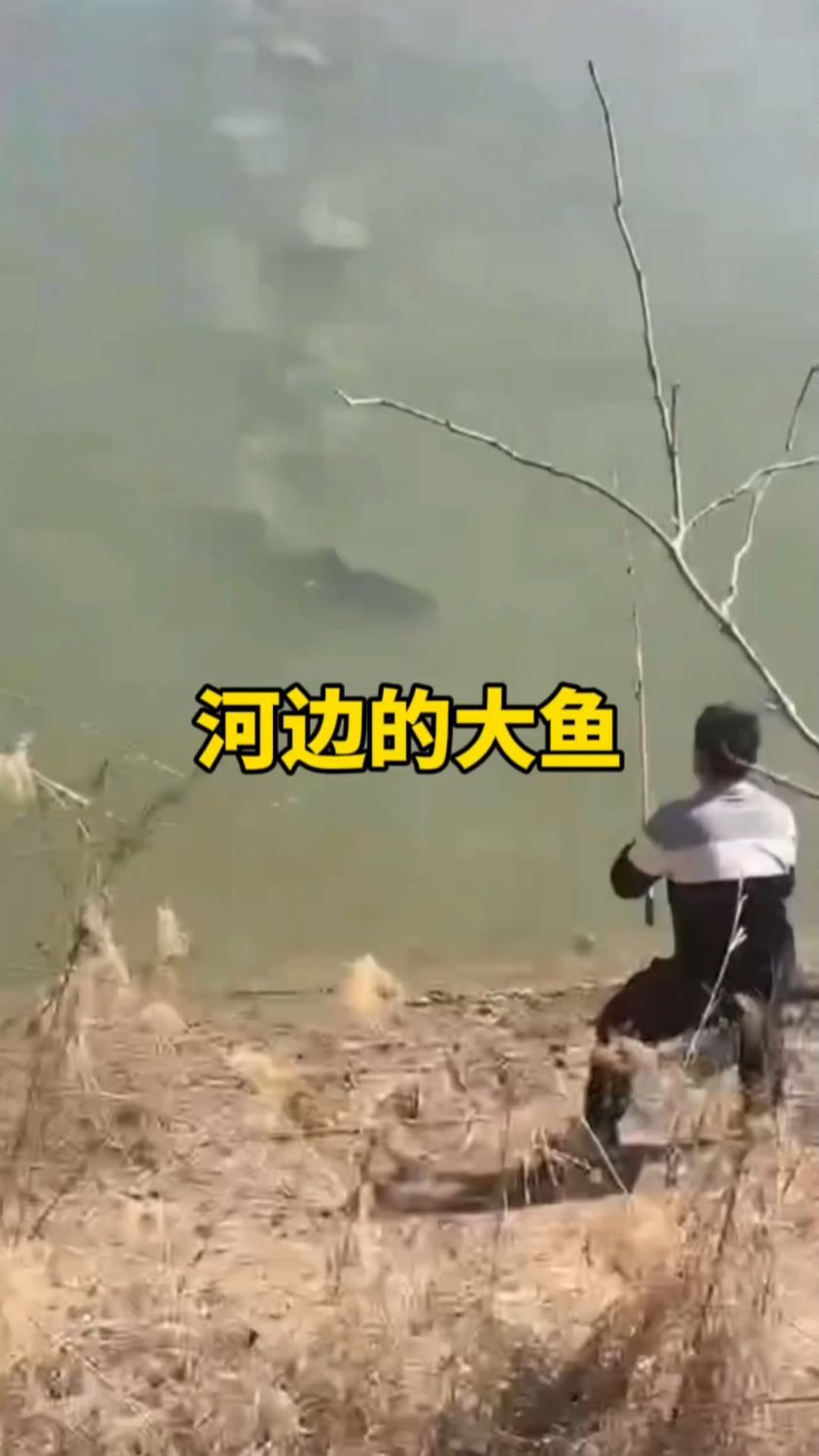 男子在河边钓到一条大鱼