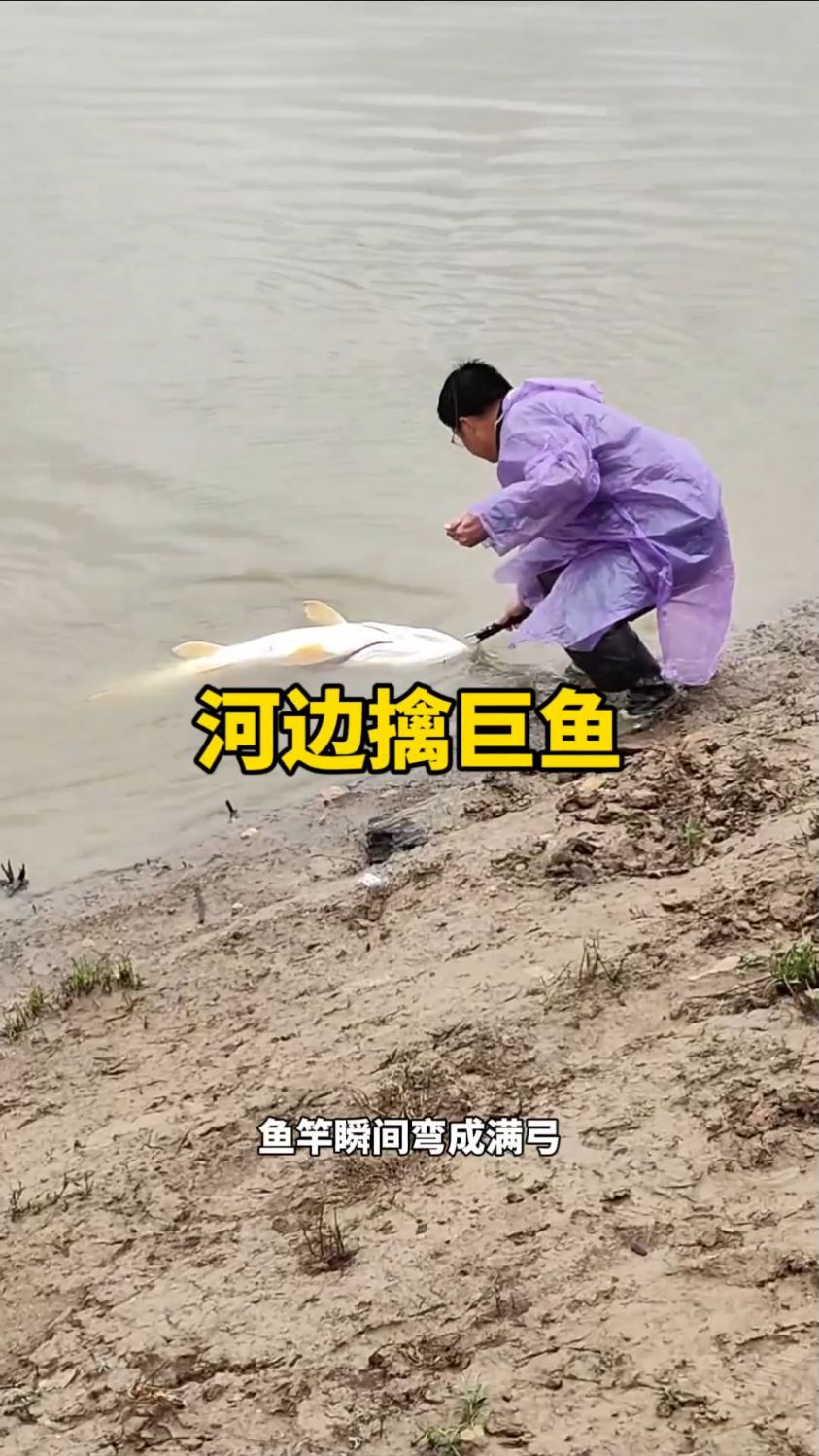 在河边钓到一条大鱼