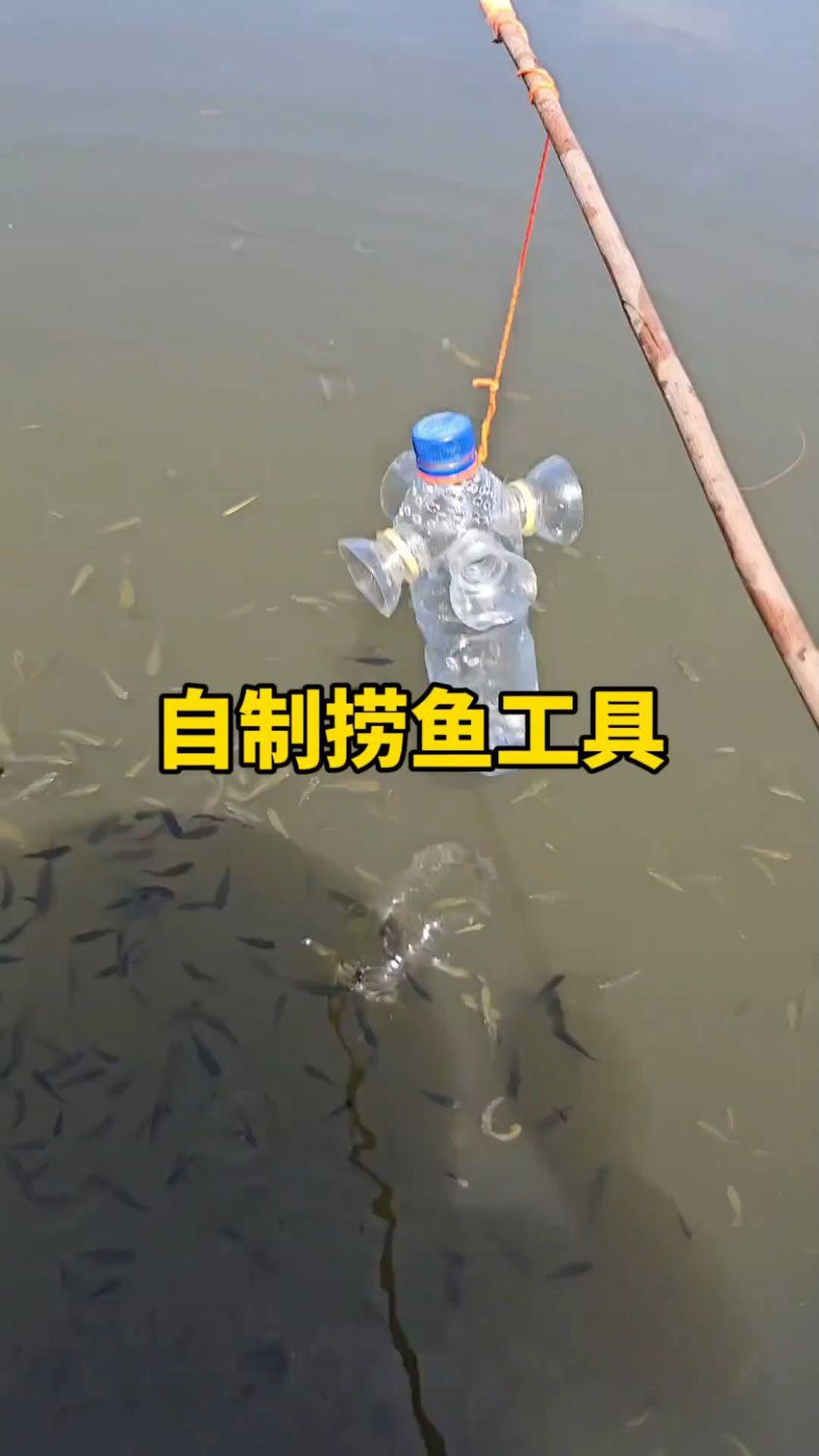用矿泉水瓶自制捞鱼工具
